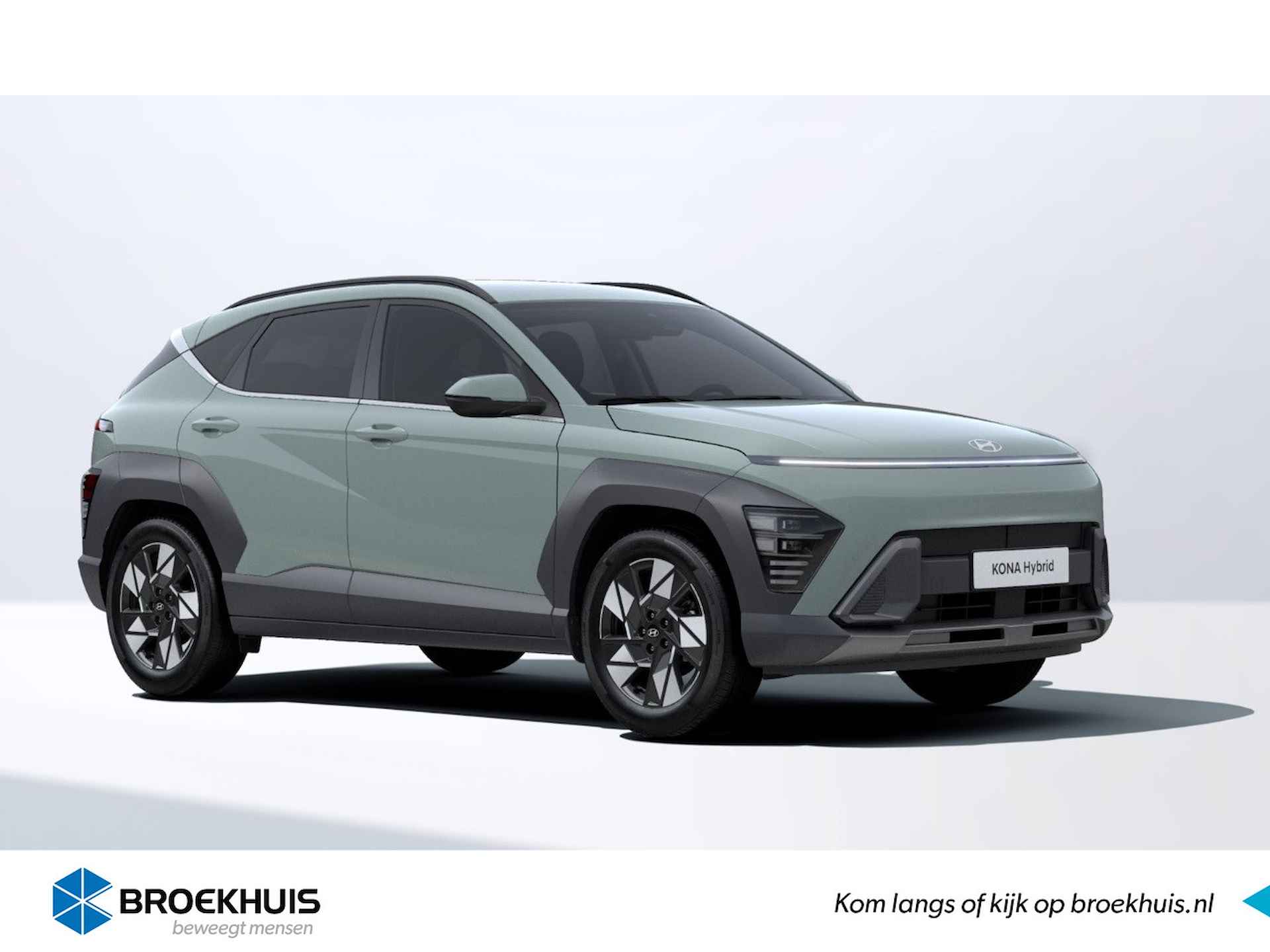 Hyundai Kona BOVAG 40-Puntencheck