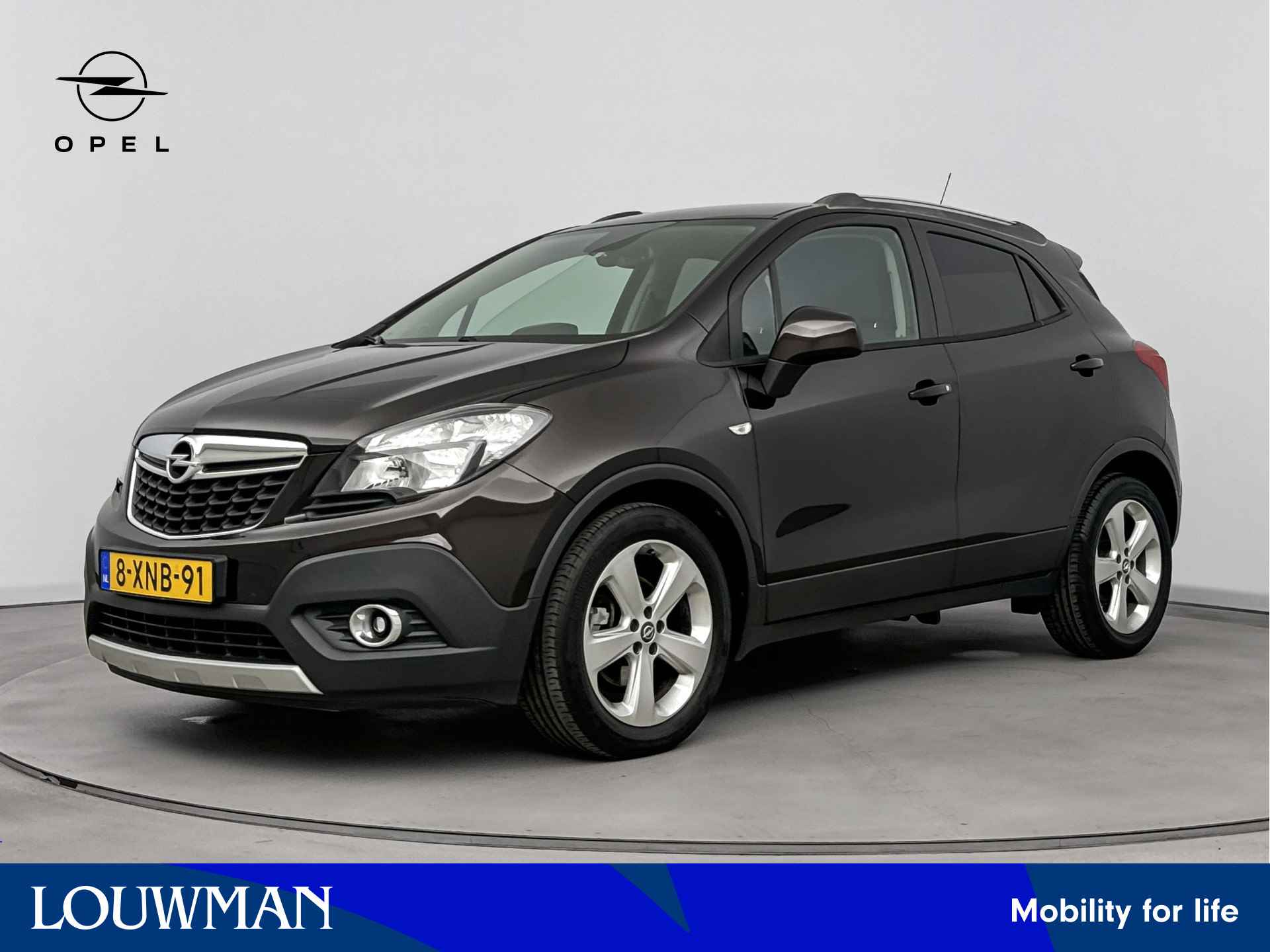 Opel Mokka BOVAG 40-Puntencheck