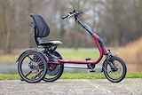 Van Raam Easy Rider Compact Wijnrood Mat 2024