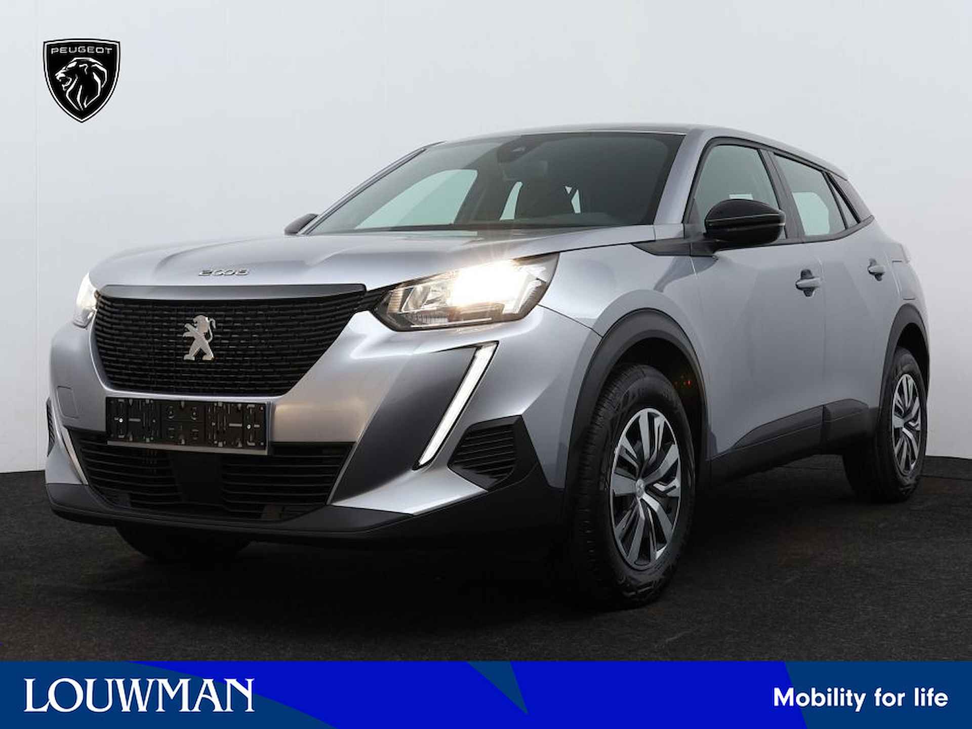 Peugeot 2008 BOVAG 40-Puntencheck