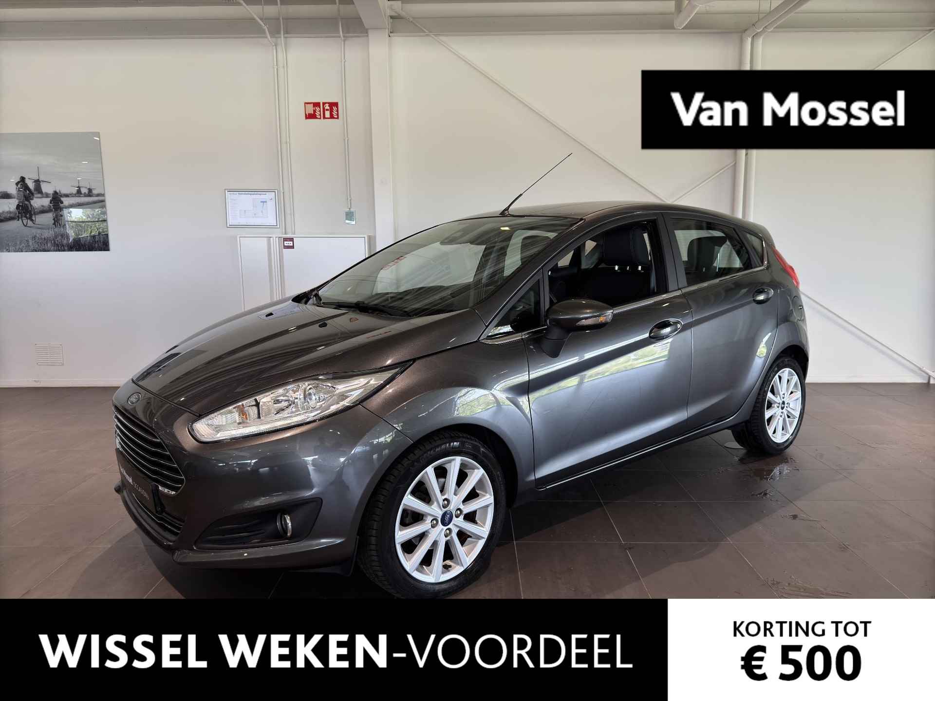 Ford Fiesta BOVAG 40-Puntencheck