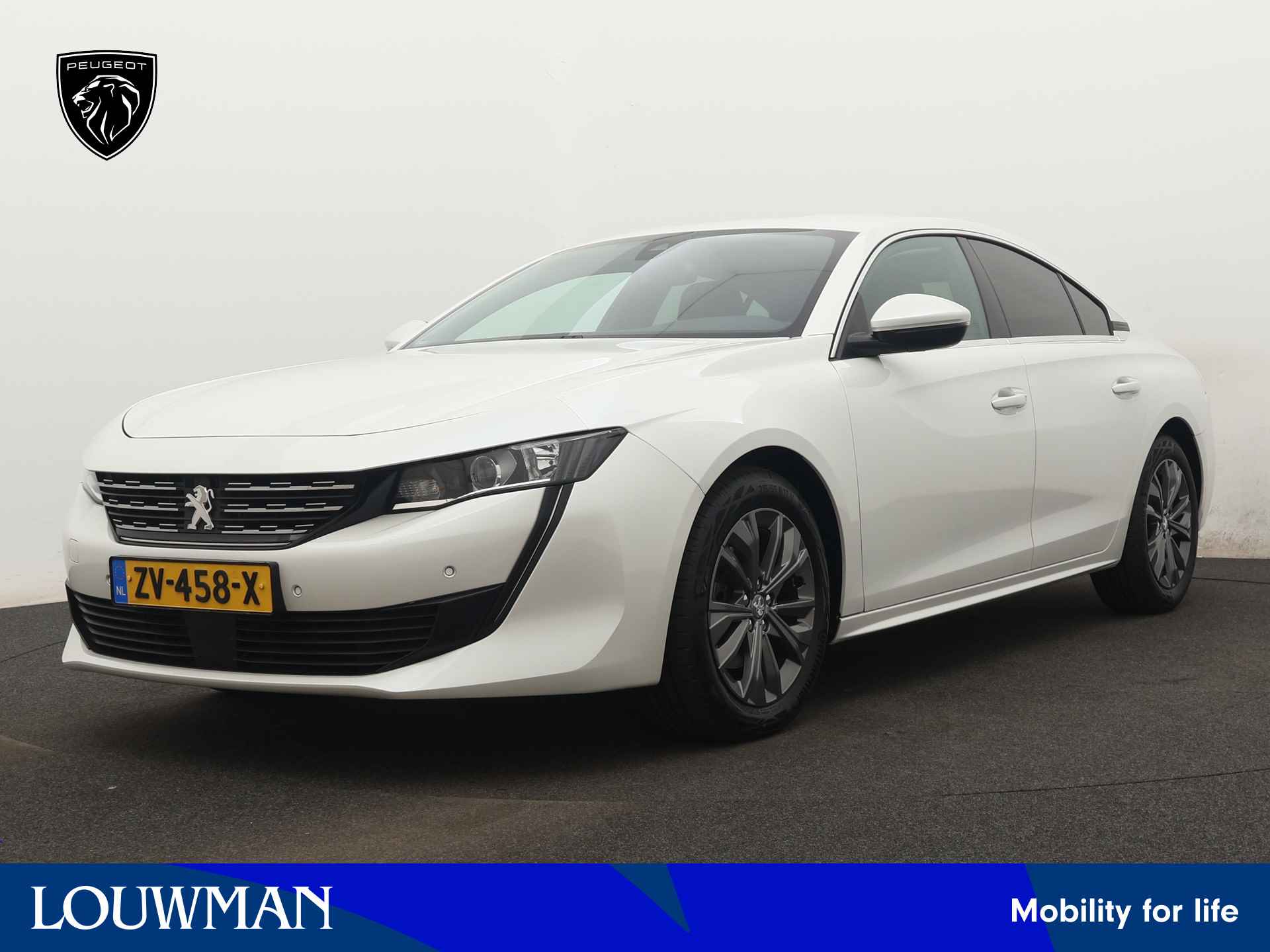 Peugeot 508 BOVAG 40-Puntencheck