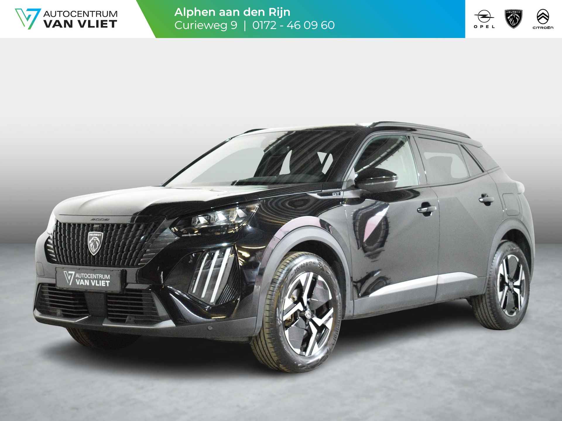 Peugeot 2008 BOVAG 40-Puntencheck