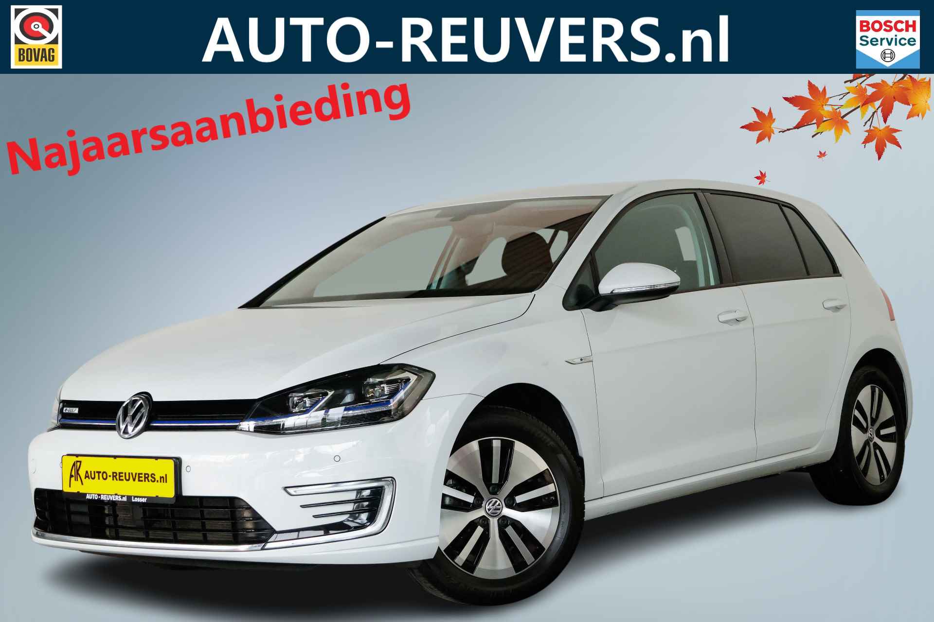 Volkswagen e-Golf BOVAG 40-Puntencheck