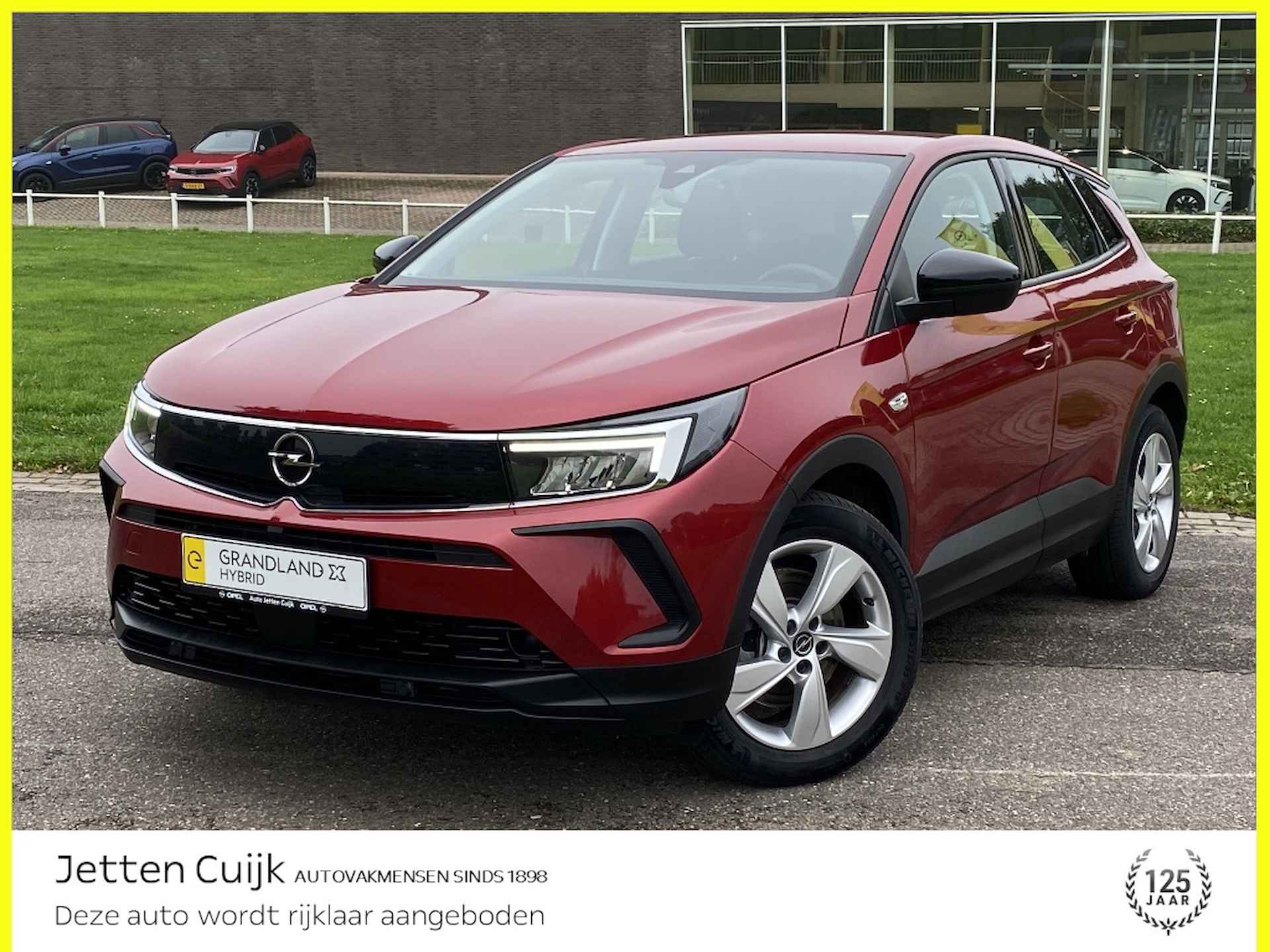 Opel Grandland X BOVAG 40-Puntencheck