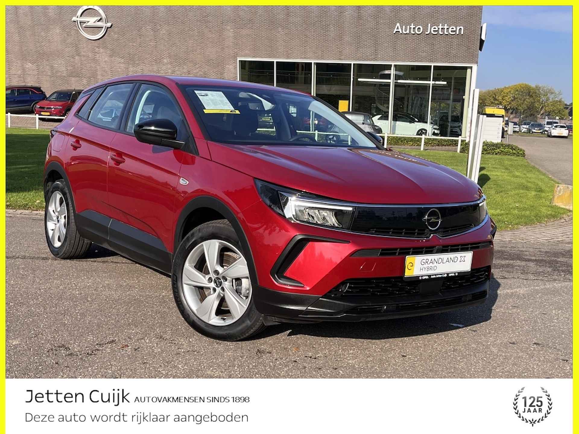 Opel Grandland X BOVAG 40-Puntencheck