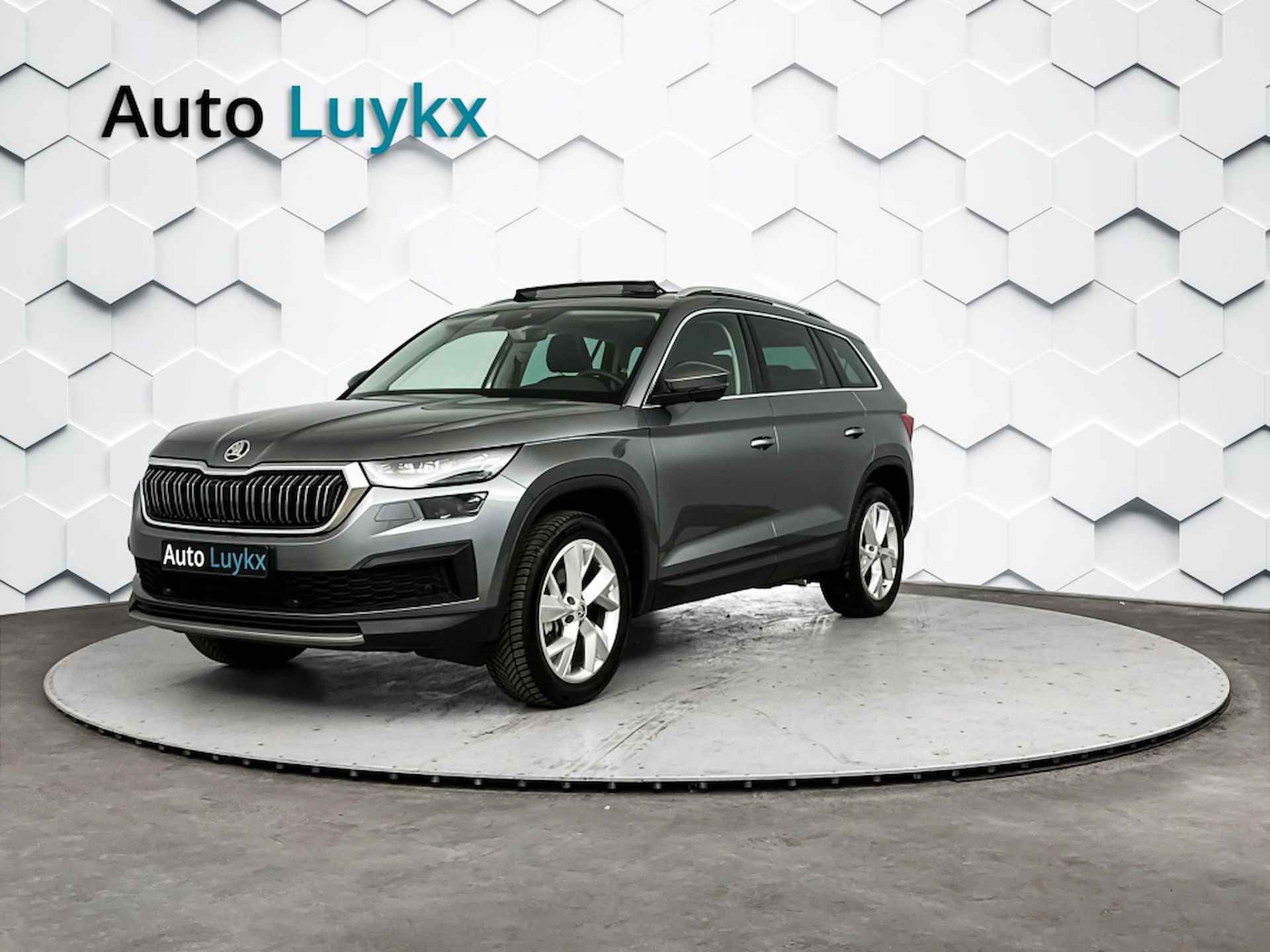 Škoda Kodiaq BOVAG 40-Puntencheck