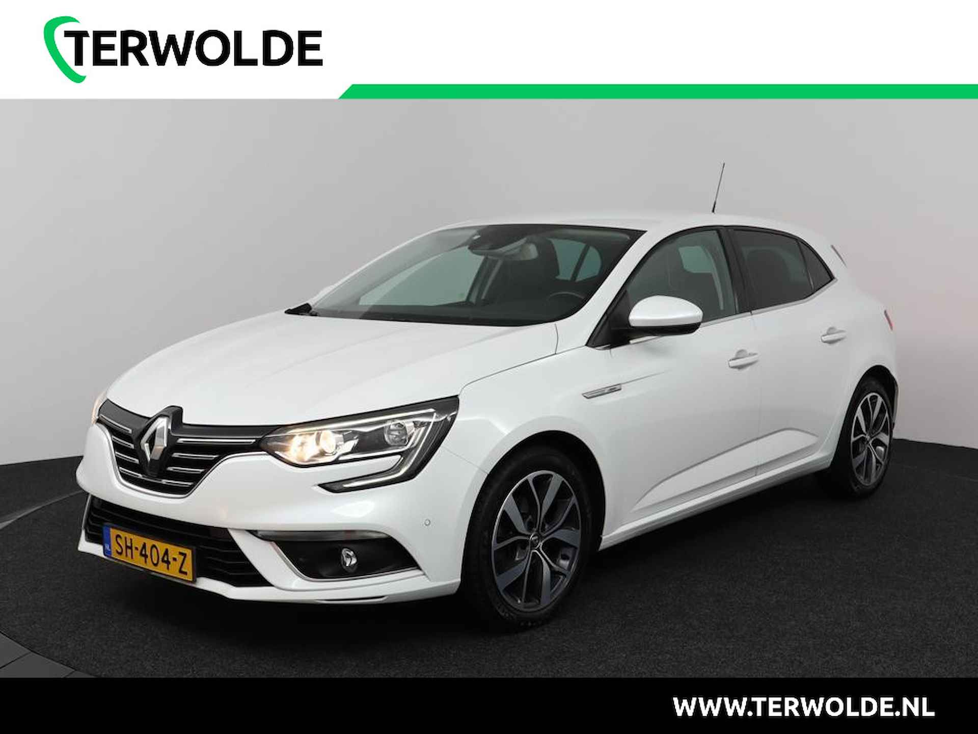 Renault Megane BOVAG 40-Puntencheck