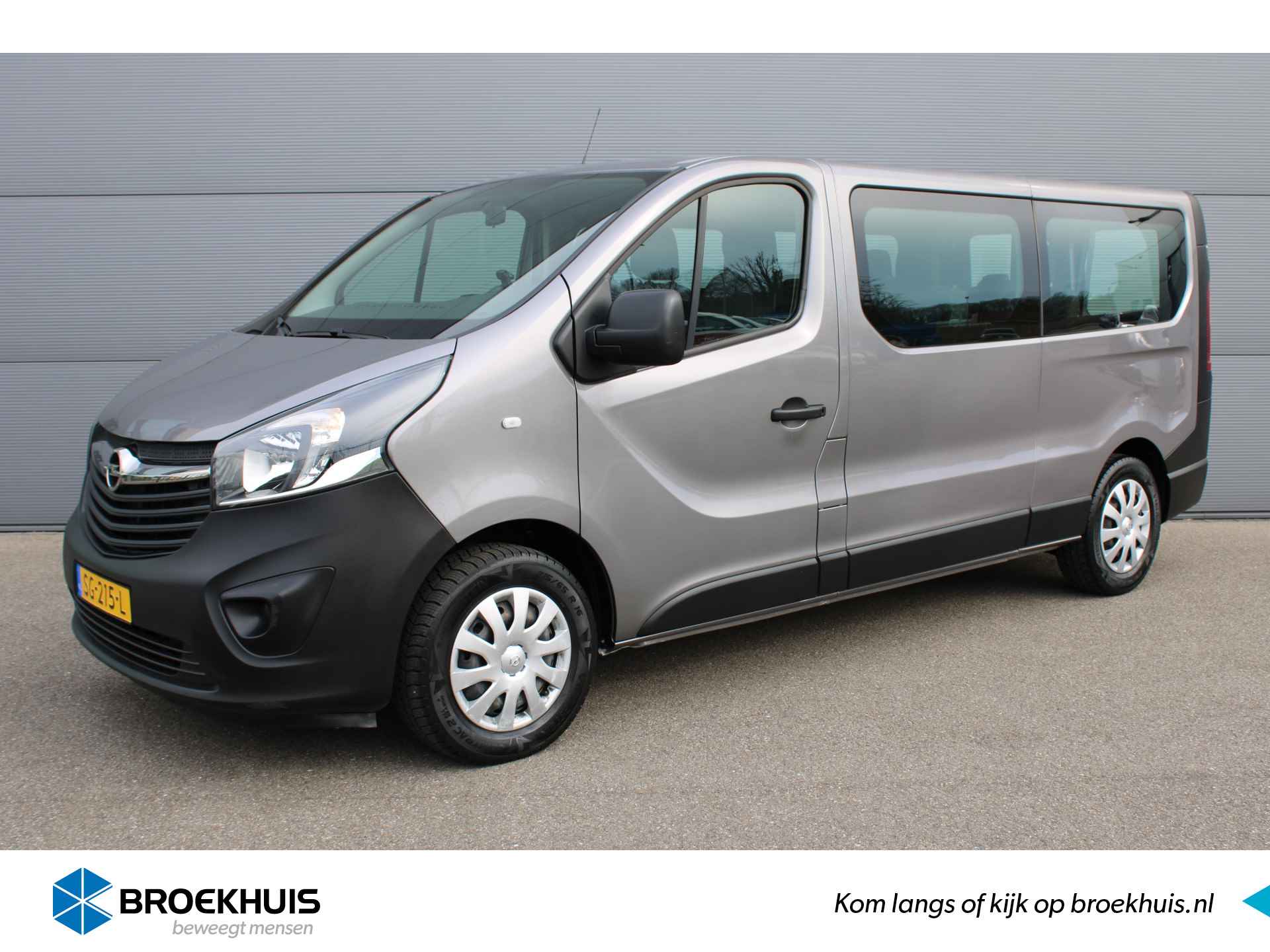 Opel Vivaro BOVAG 40-Puntencheck