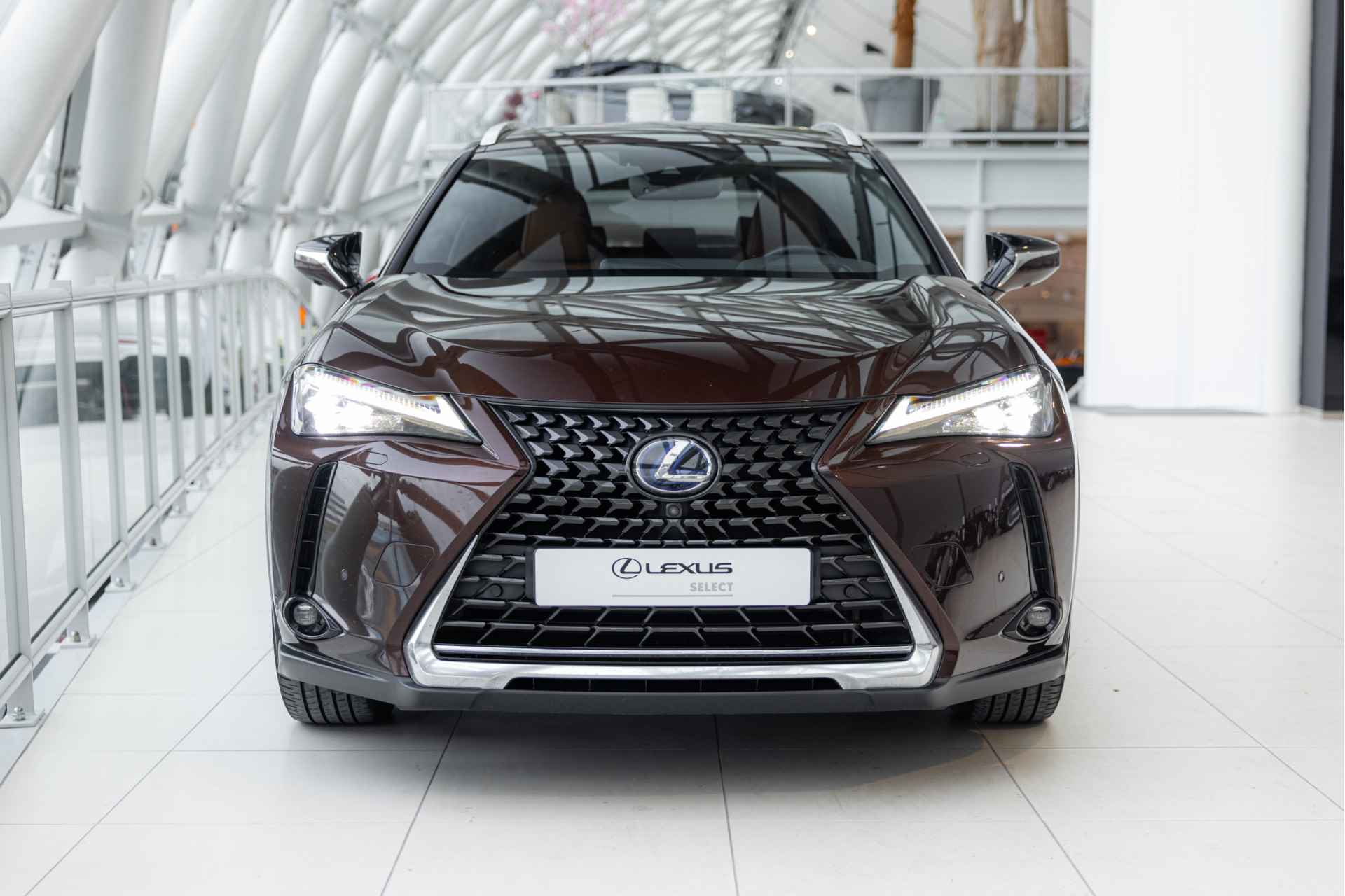 Lexus UX 250h Executive Line Limited | Mark Levinson | Stoelverwarming & Koeling | President Pack | - 21/53