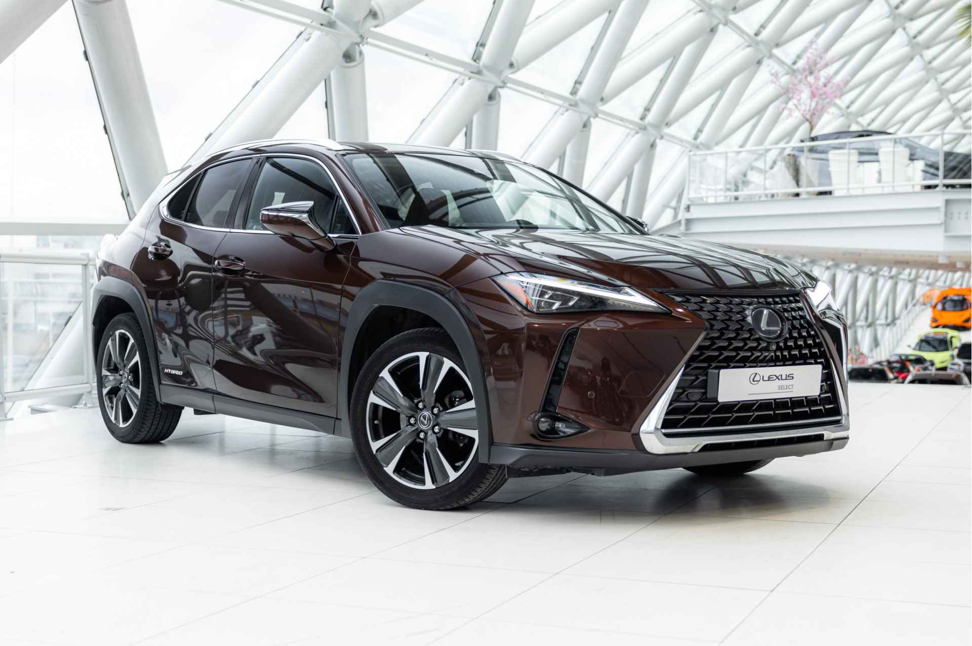 Lexus UX 250h Executive Line Limited | Mark Levinson | Stoelverwarming & Koeling | President Pack | - 38/53