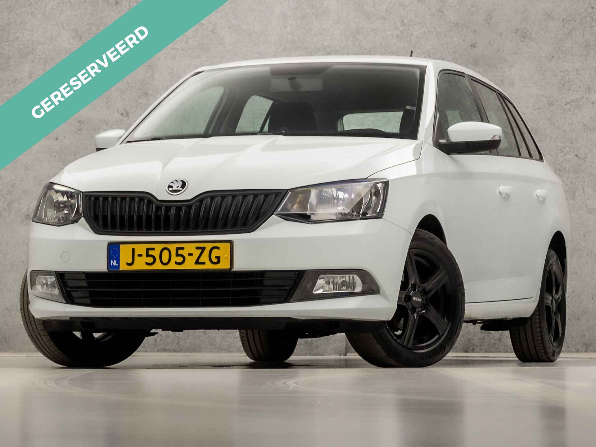 Škoda Fabia BOVAG 40-Puntencheck