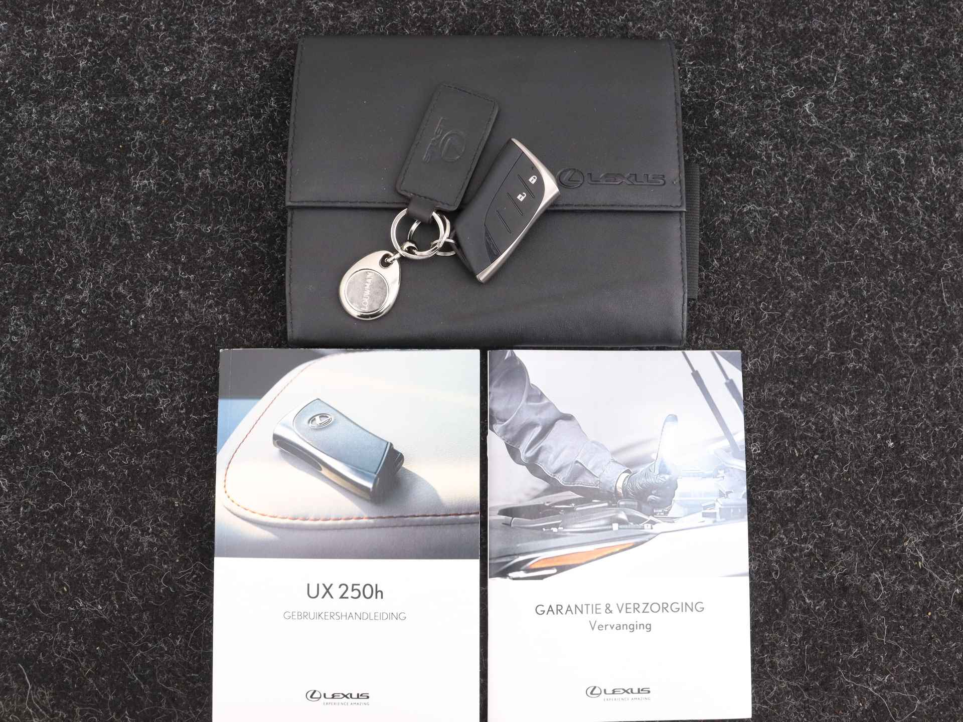 Lexus UX 250h F Sport Design | Leer | Stoelverwarming | Apple CarPlay / Android Auto | - 12/42