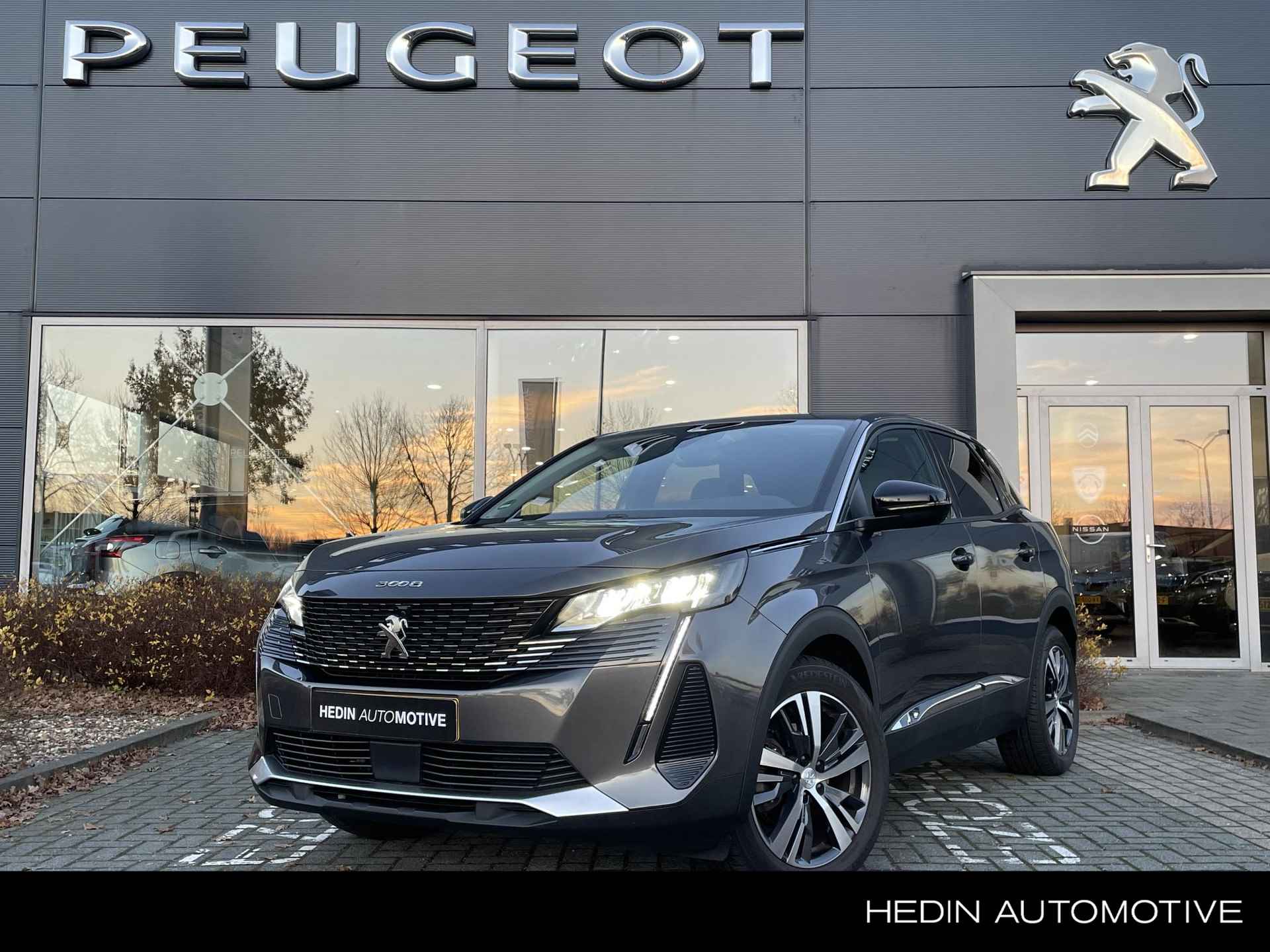 Peugeot 3008 BOVAG 40-Puntencheck