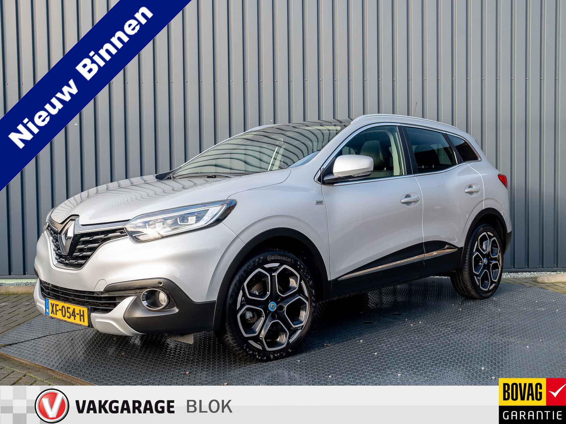 Renault Kadjar BOVAG 40-Puntencheck