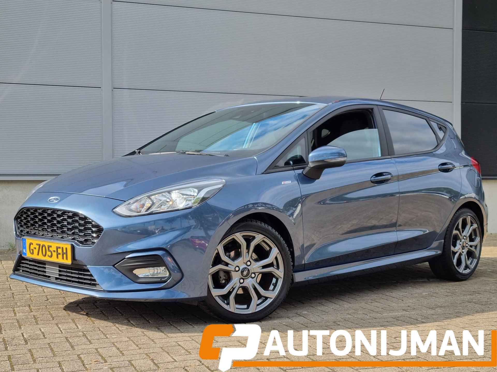 Ford Fiesta BOVAG 40-Puntencheck