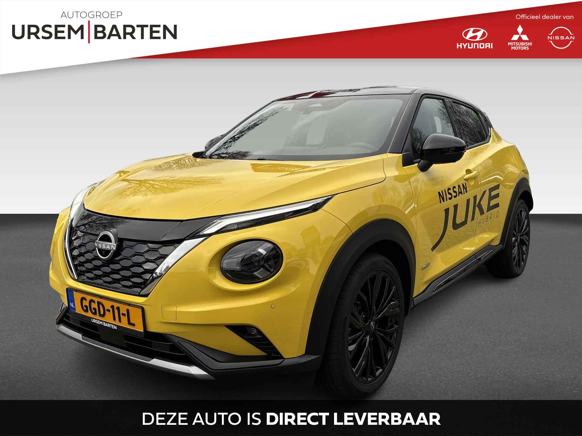 Nissan Juke BOVAG 40-Puntencheck