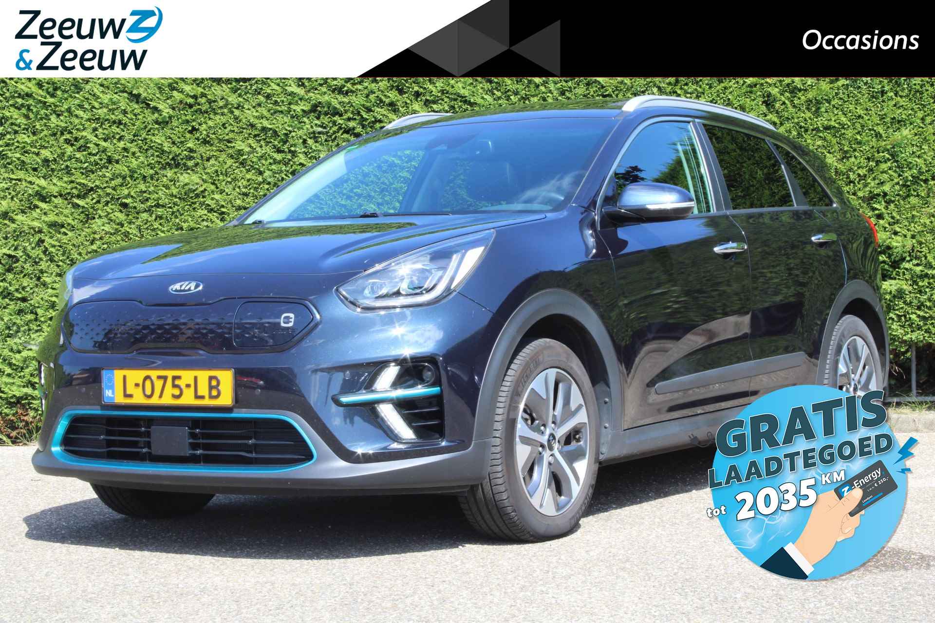 Kia e-Niro BOVAG 40-Puntencheck