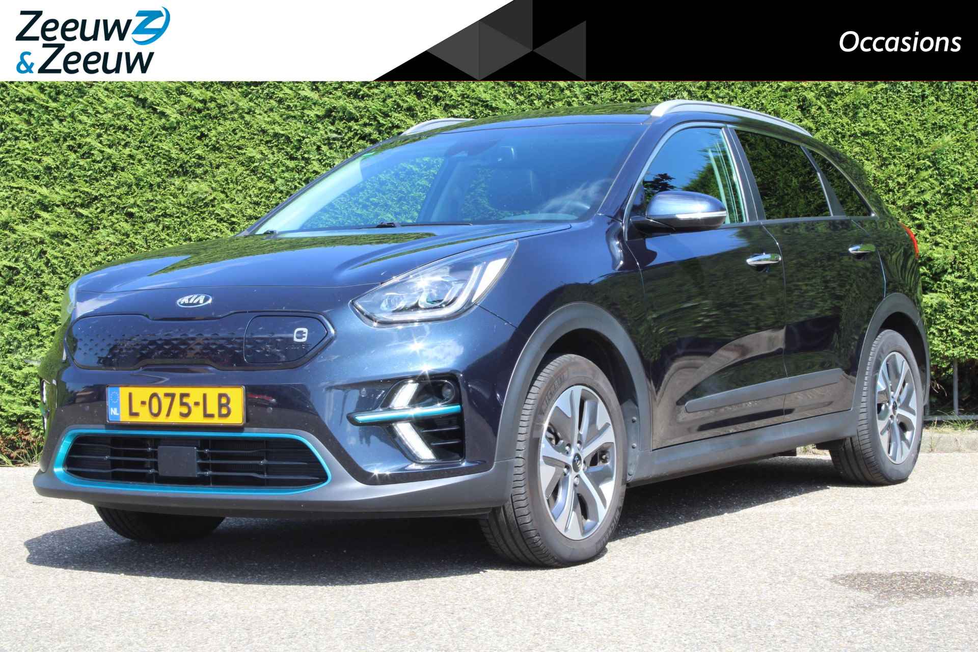 Kia e-Niro BOVAG 40-Puntencheck