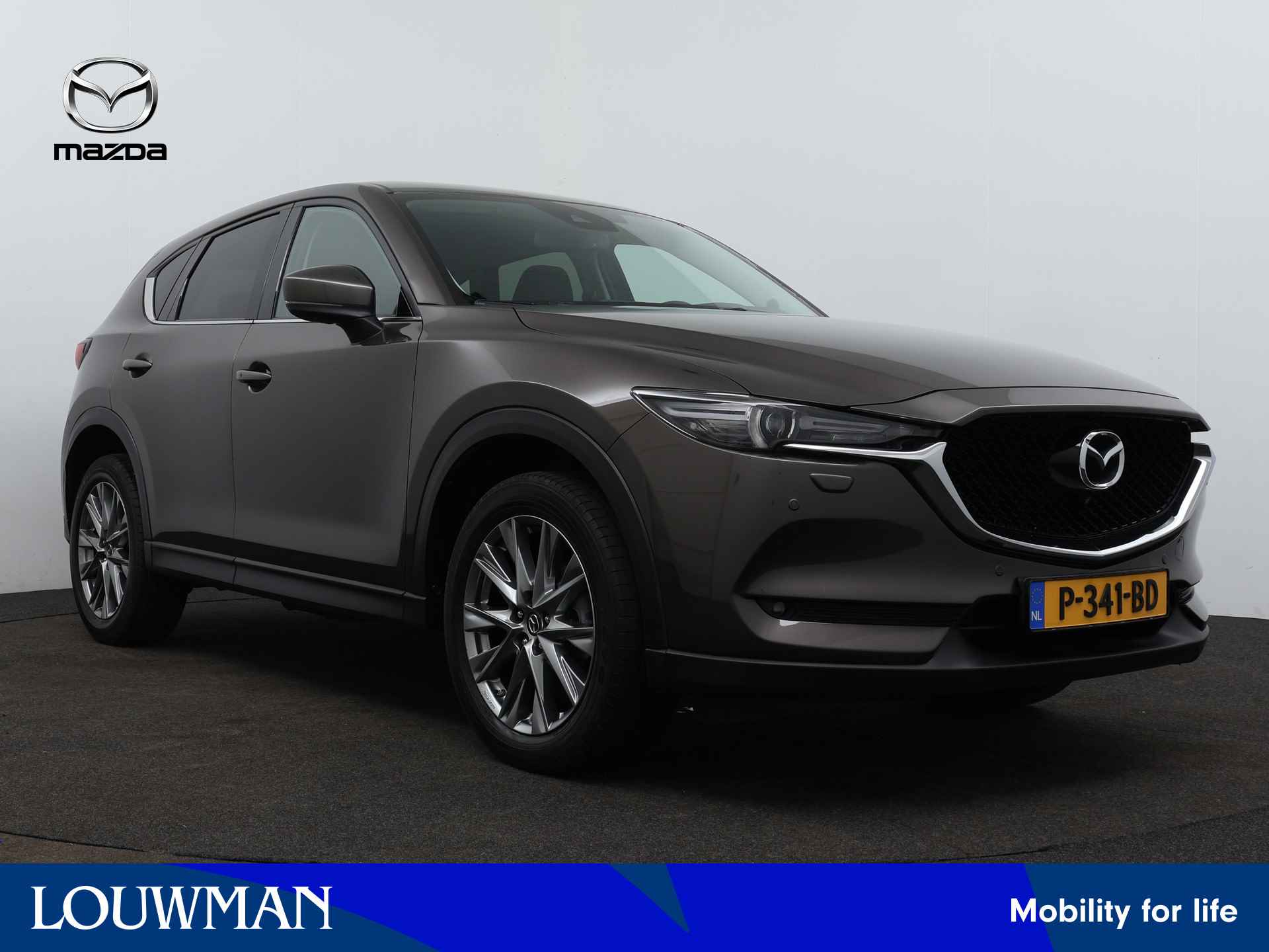 Mazda CX-5 BOVAG 40-Puntencheck