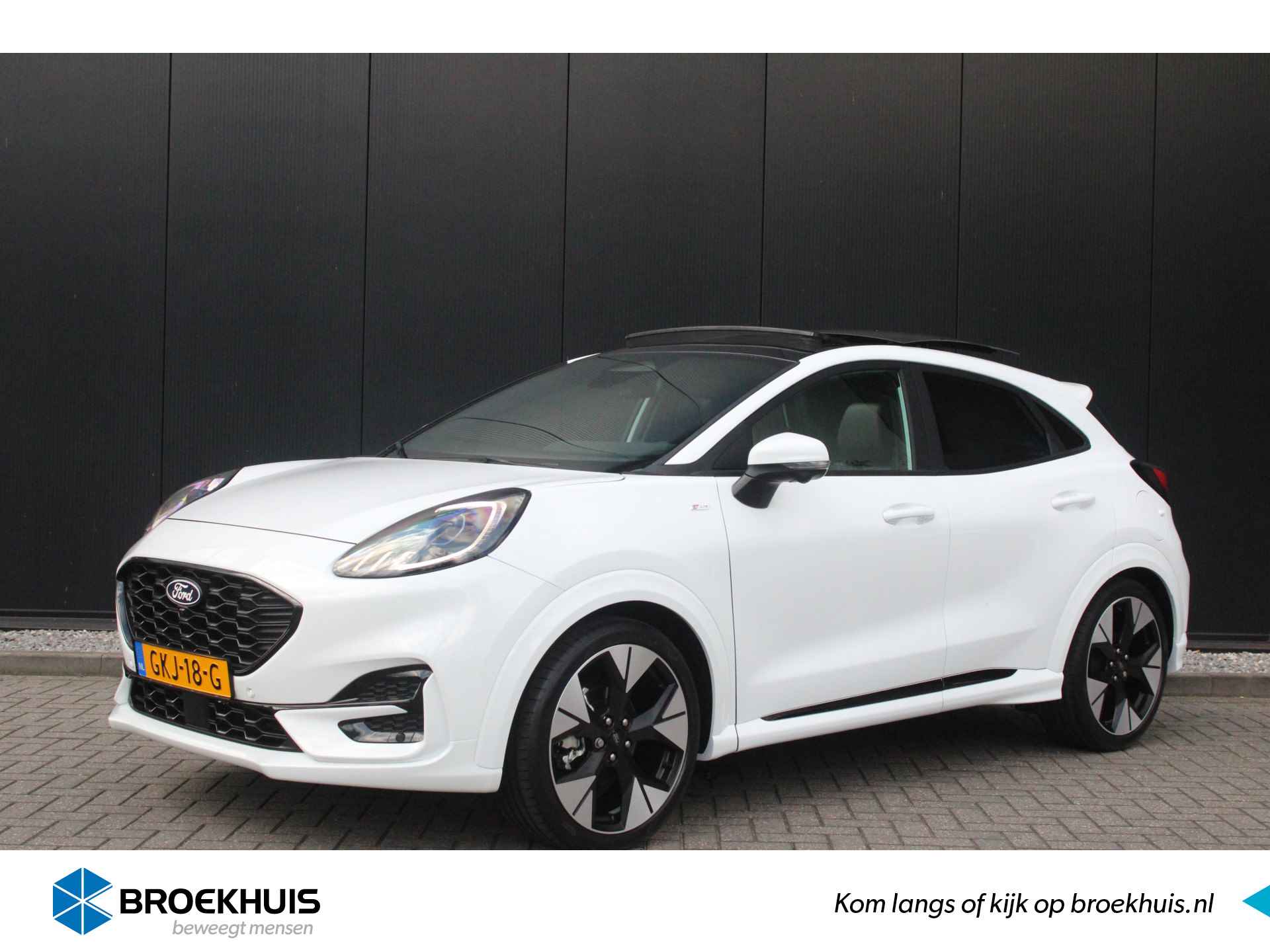 Ford Puma BOVAG 40-Puntencheck