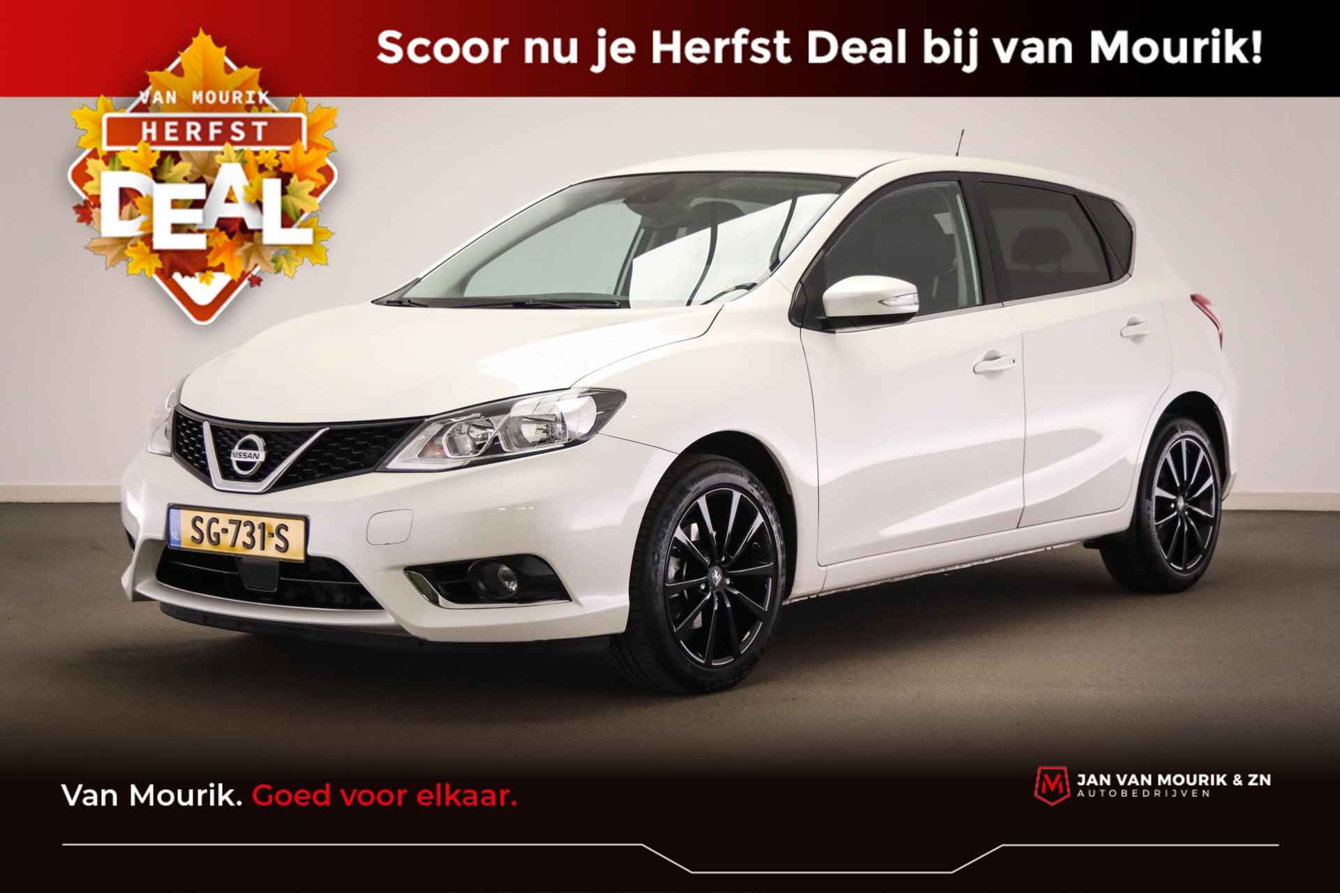 Nissan Pulsar BOVAG 40-Puntencheck