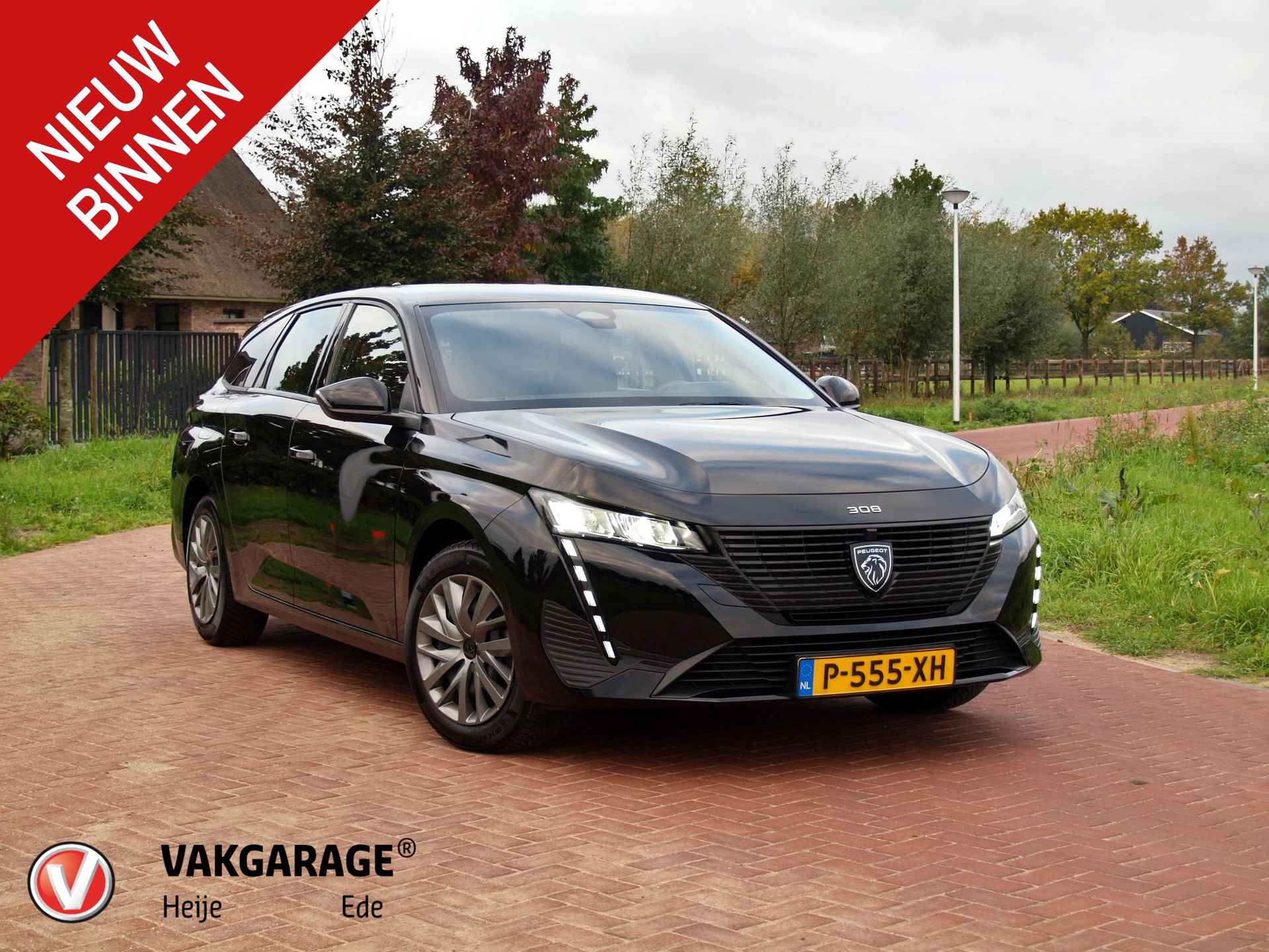 Peugeot 308 BOVAG 40-Puntencheck