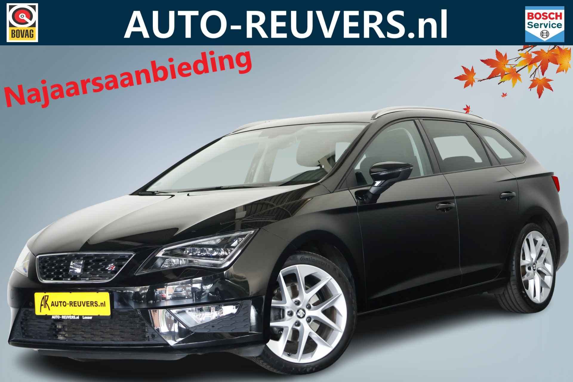 Seat Leon BOVAG 40-Puntencheck