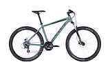 BULLS Wildtail 2 Disc 27,5 Heren Light Emerald Matt 27,5 Inch 46cm 2024