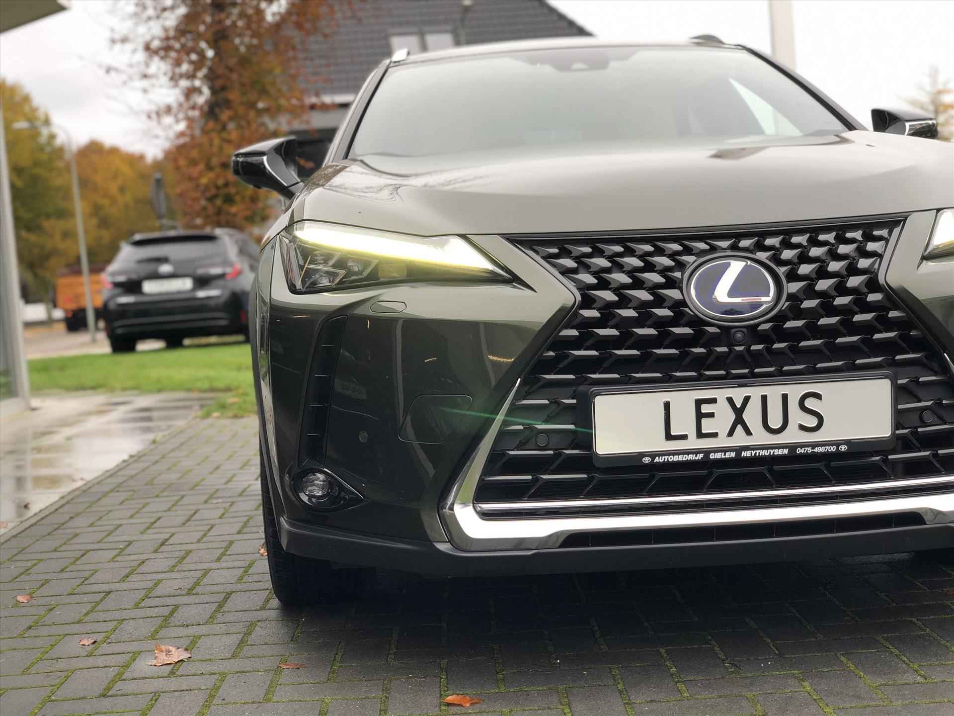 Lexus Ux 250h Executive Line | Head Up Display, Leer, Geheugenfunctie, Elektrische achterklep, 360 Camera, Groot scherm, Stoelventilatie - 10/42