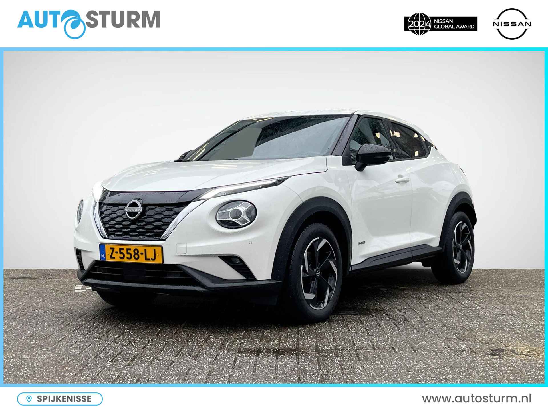 Nissan Juke BOVAG 40-Puntencheck