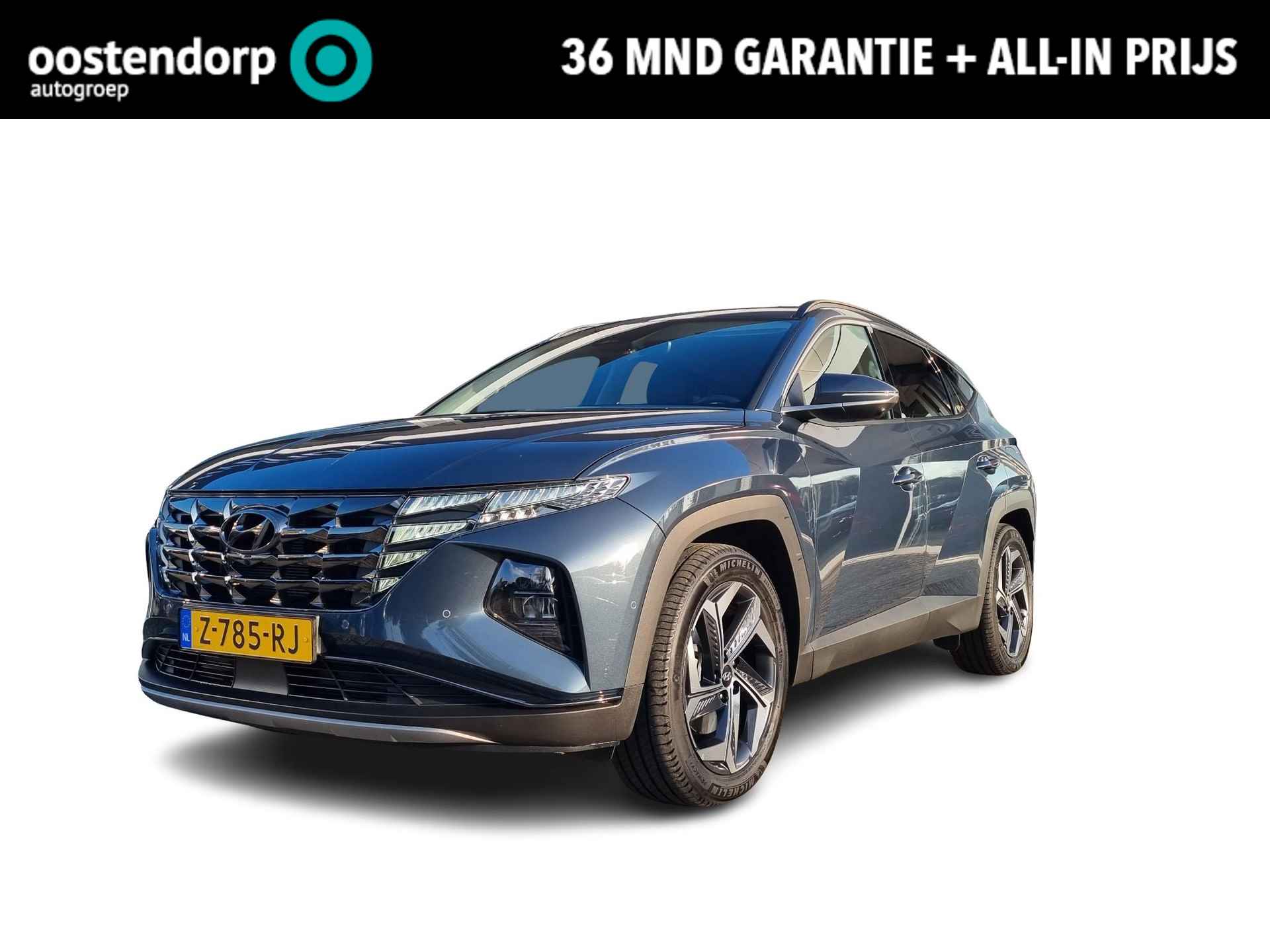 Hyundai Tucson BOVAG 40-Puntencheck