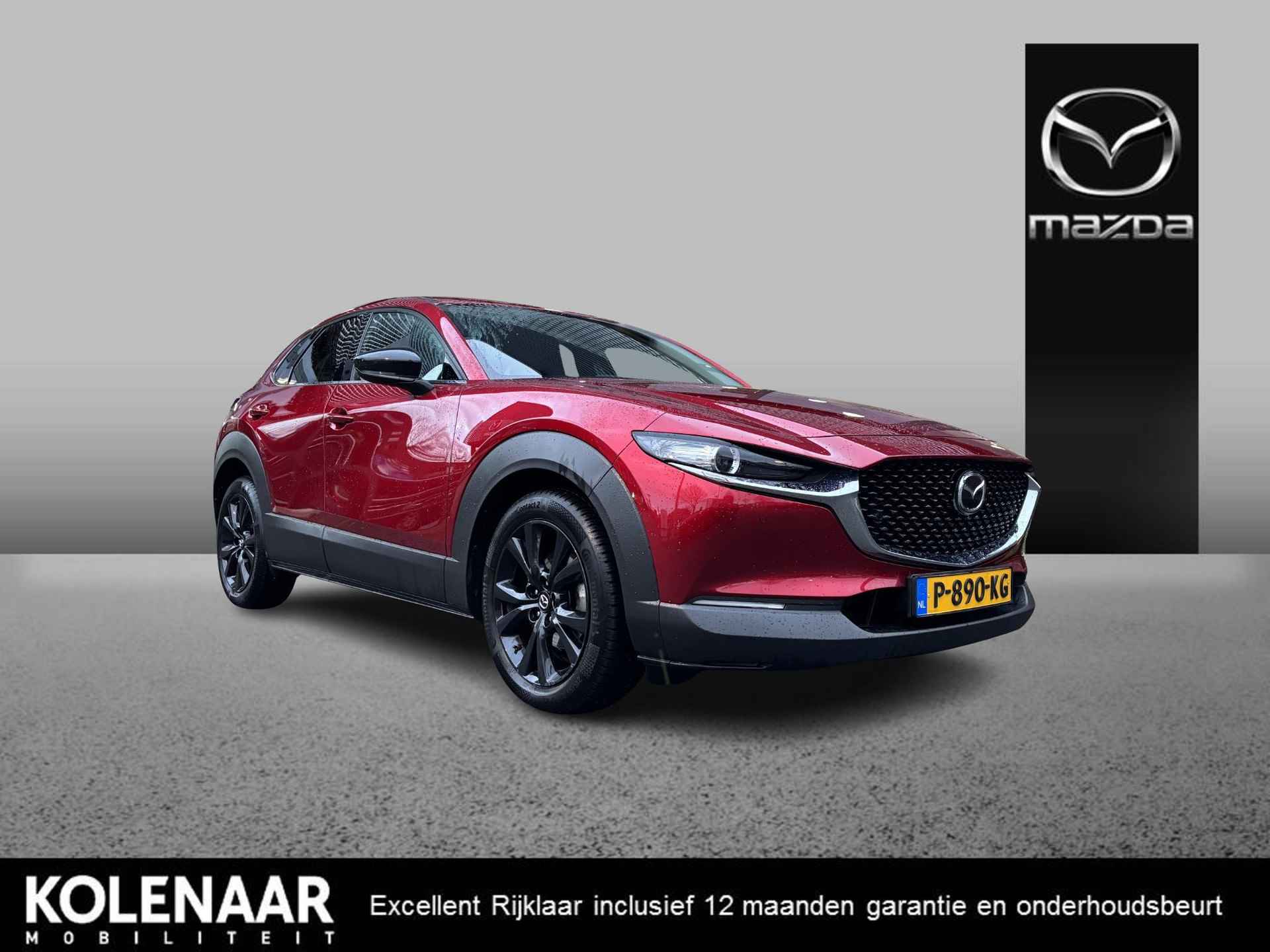 Mazda CX-30 BOVAG 40-Puntencheck