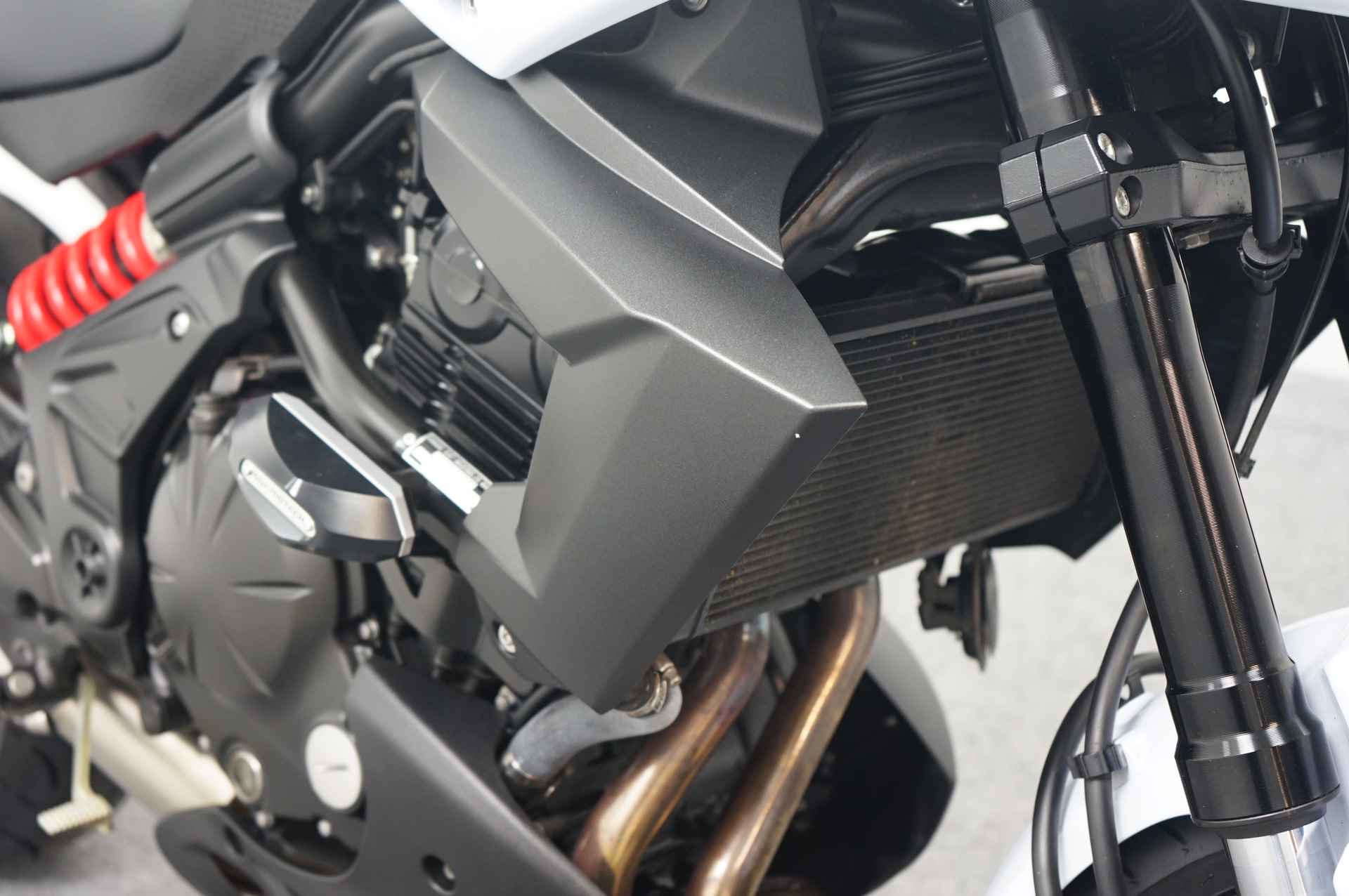 Kawasaki VERSYS 650 ABS - 11/19