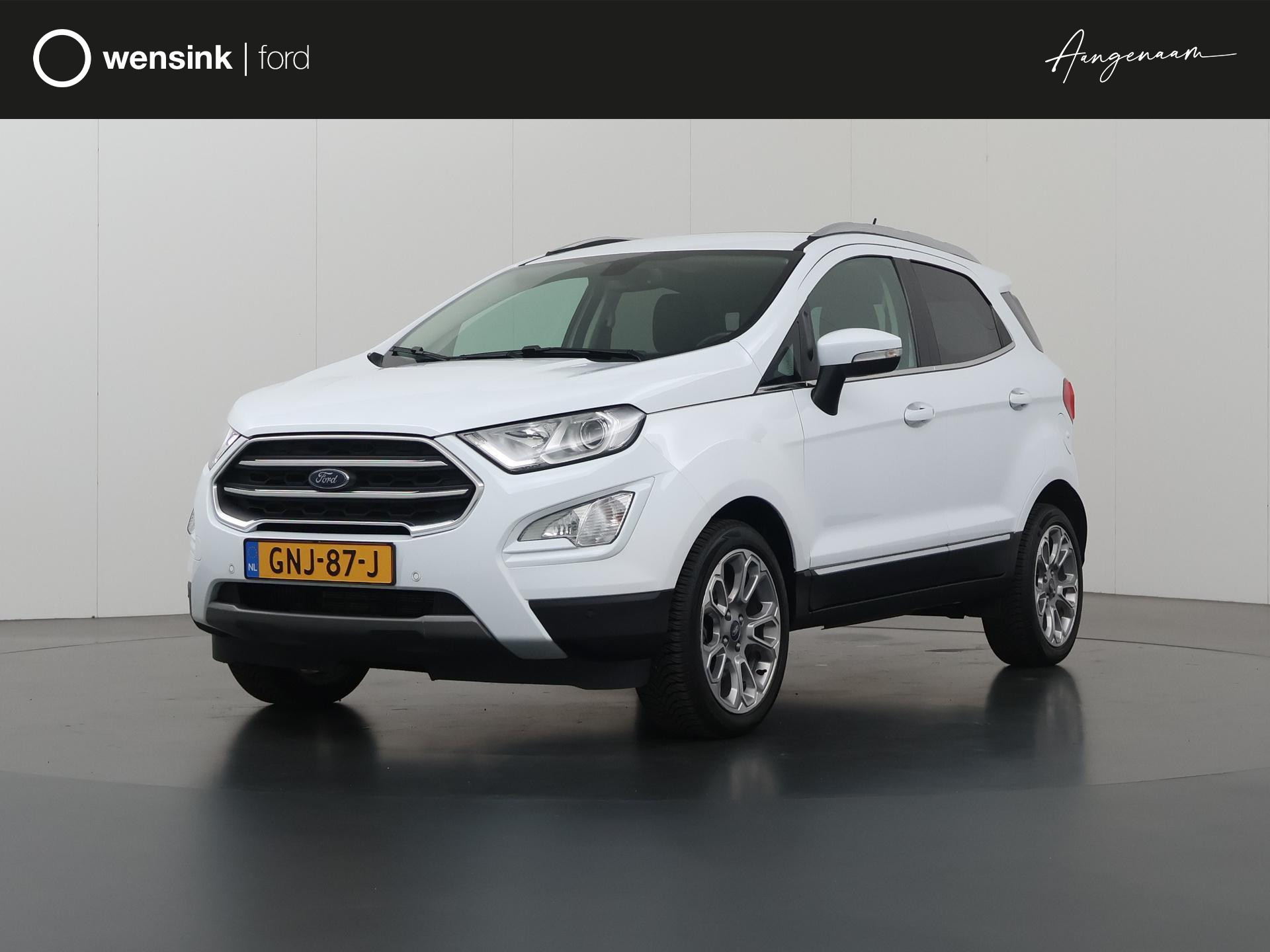 Ford EcoSport 1.0 EcoBoost Automaat Titanium | Schuif-/kanteldak | Winterpack | Climate Control | Navigatie |