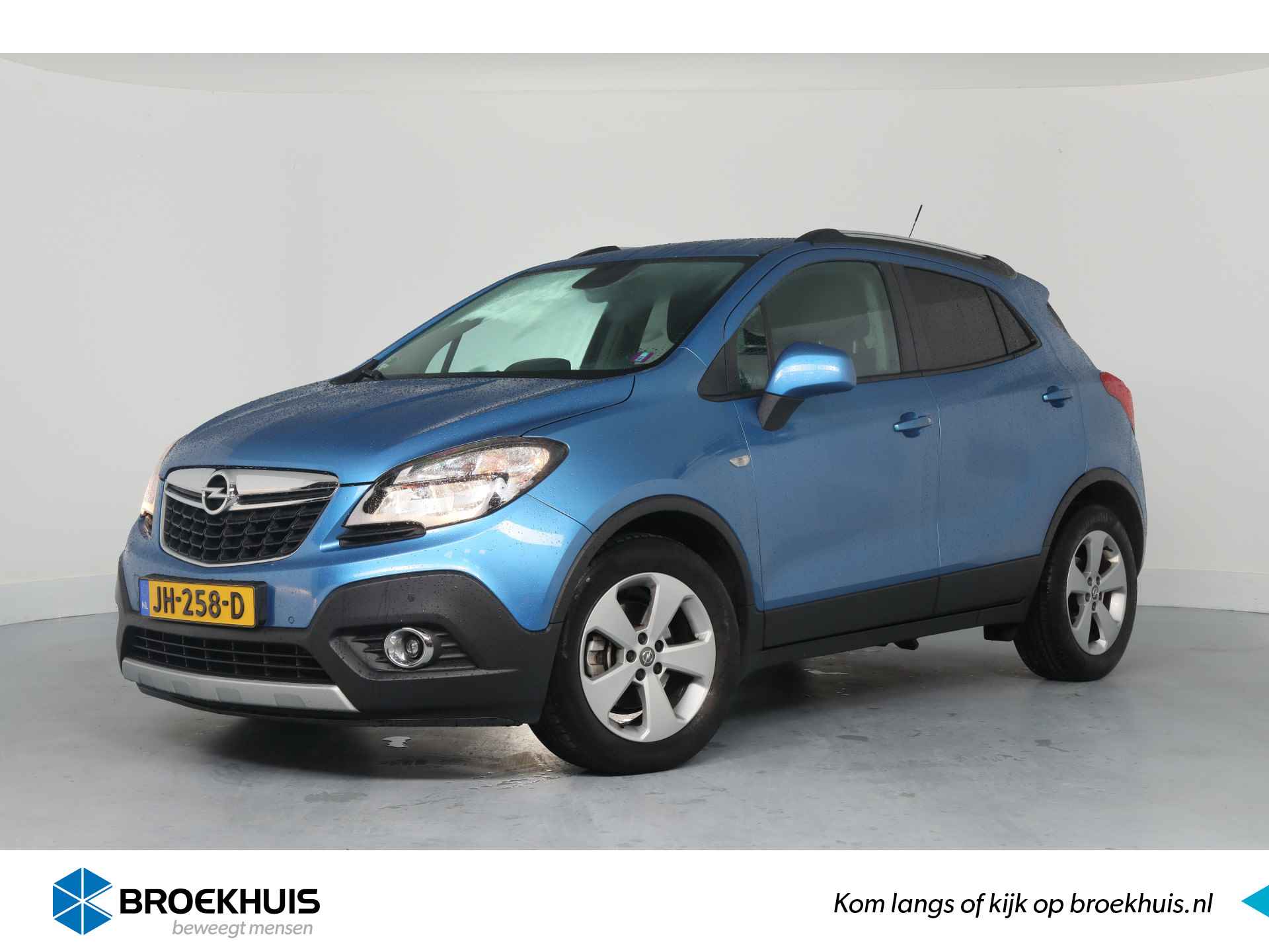 Opel Mokka BOVAG 40-Puntencheck