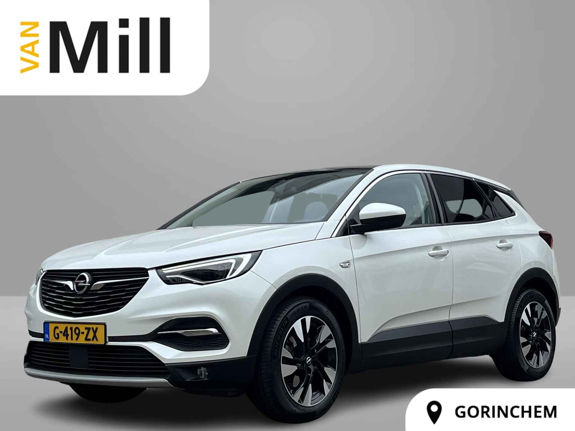 Opel Grandland X BOVAG 40-Puntencheck