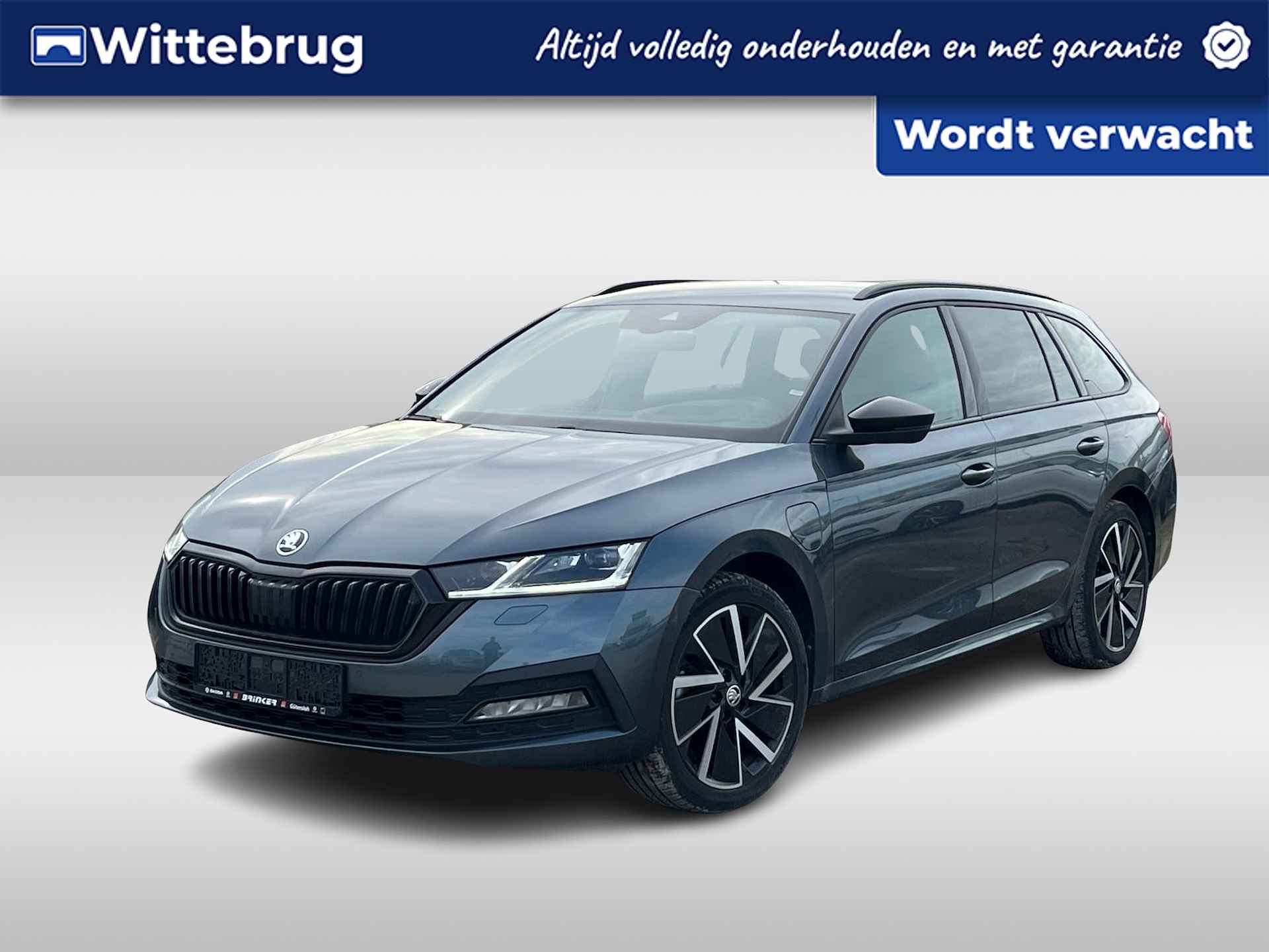 Škoda Octavia BOVAG 40-Puntencheck