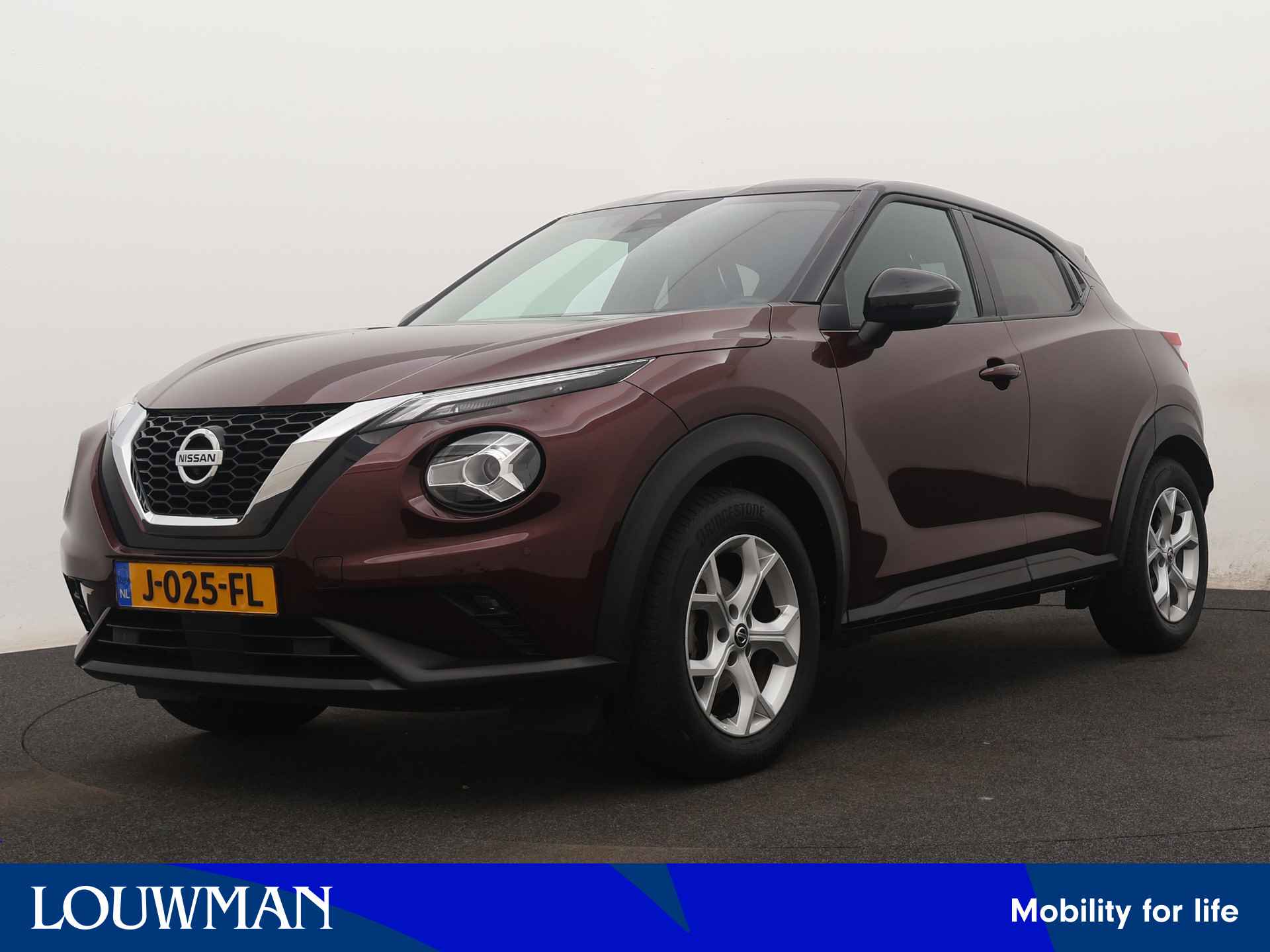 Nissan Juke BOVAG 40-Puntencheck