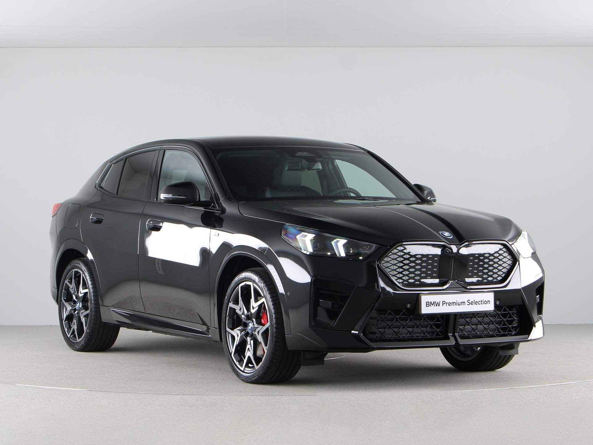 BMW iX2 eDrive20 M-Sport Pro - 8/22