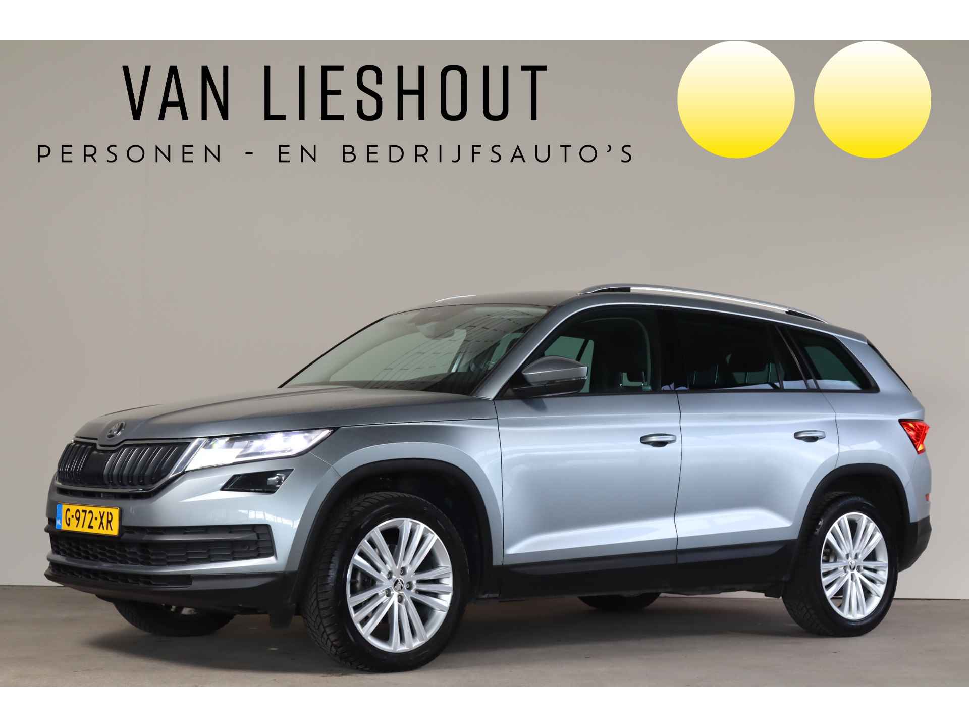 Škoda Kodiaq BOVAG 40-Puntencheck