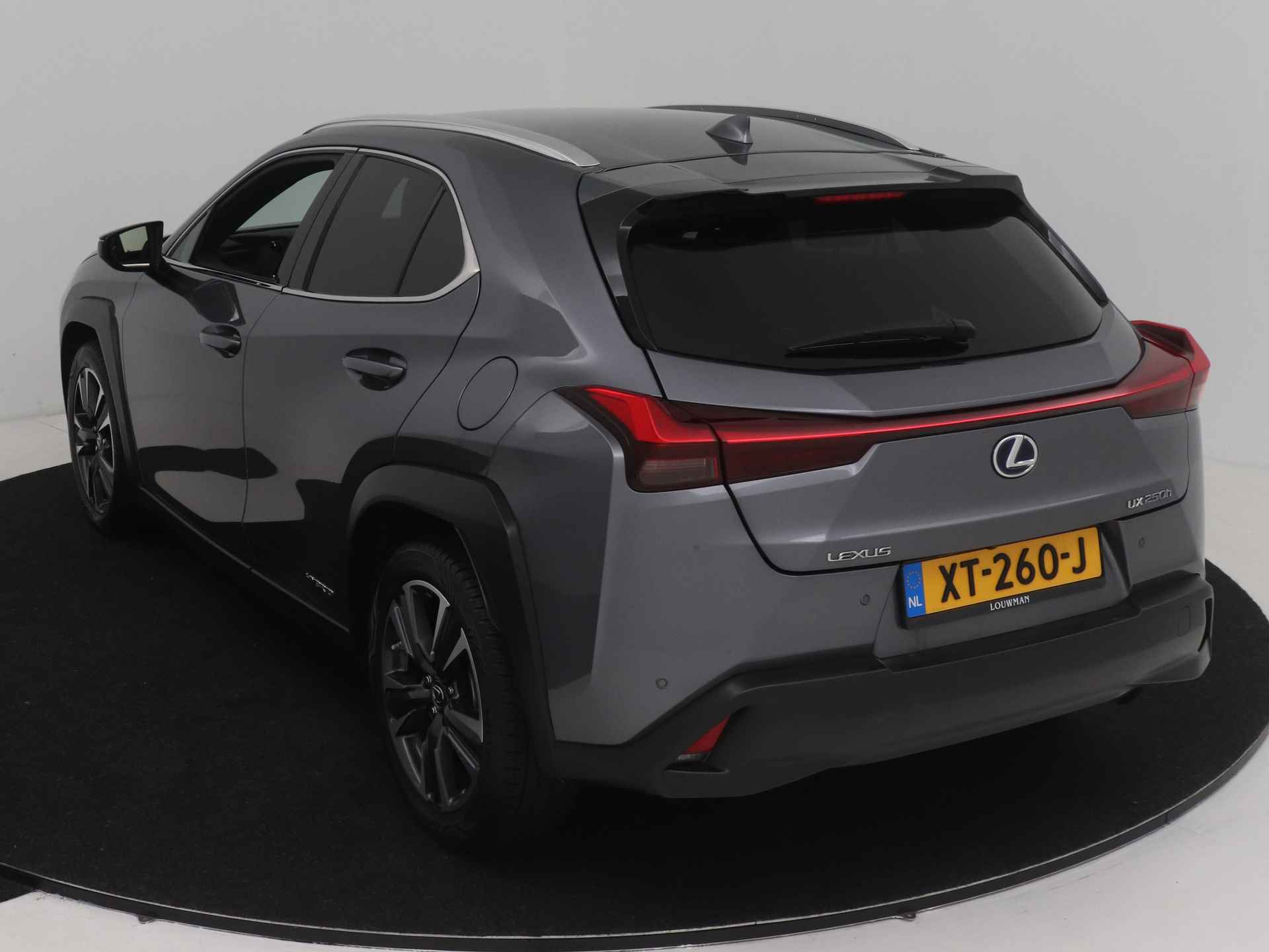 Lexus UX 250h Executive Line | President Pack | Mark Levinson | Triple LED | Stoelverwarming en -ventilatie | Head-up Display | - 15/47