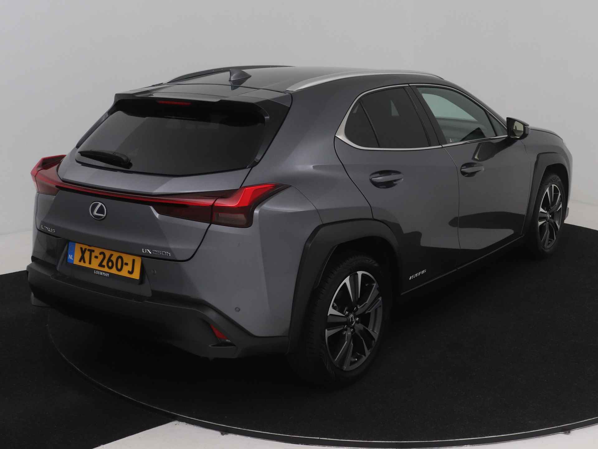 Lexus UX 250h Executive Line | President Pack | Mark Levinson | Triple LED | Stoelverwarming en -ventilatie | Head-up Display | - 16/47