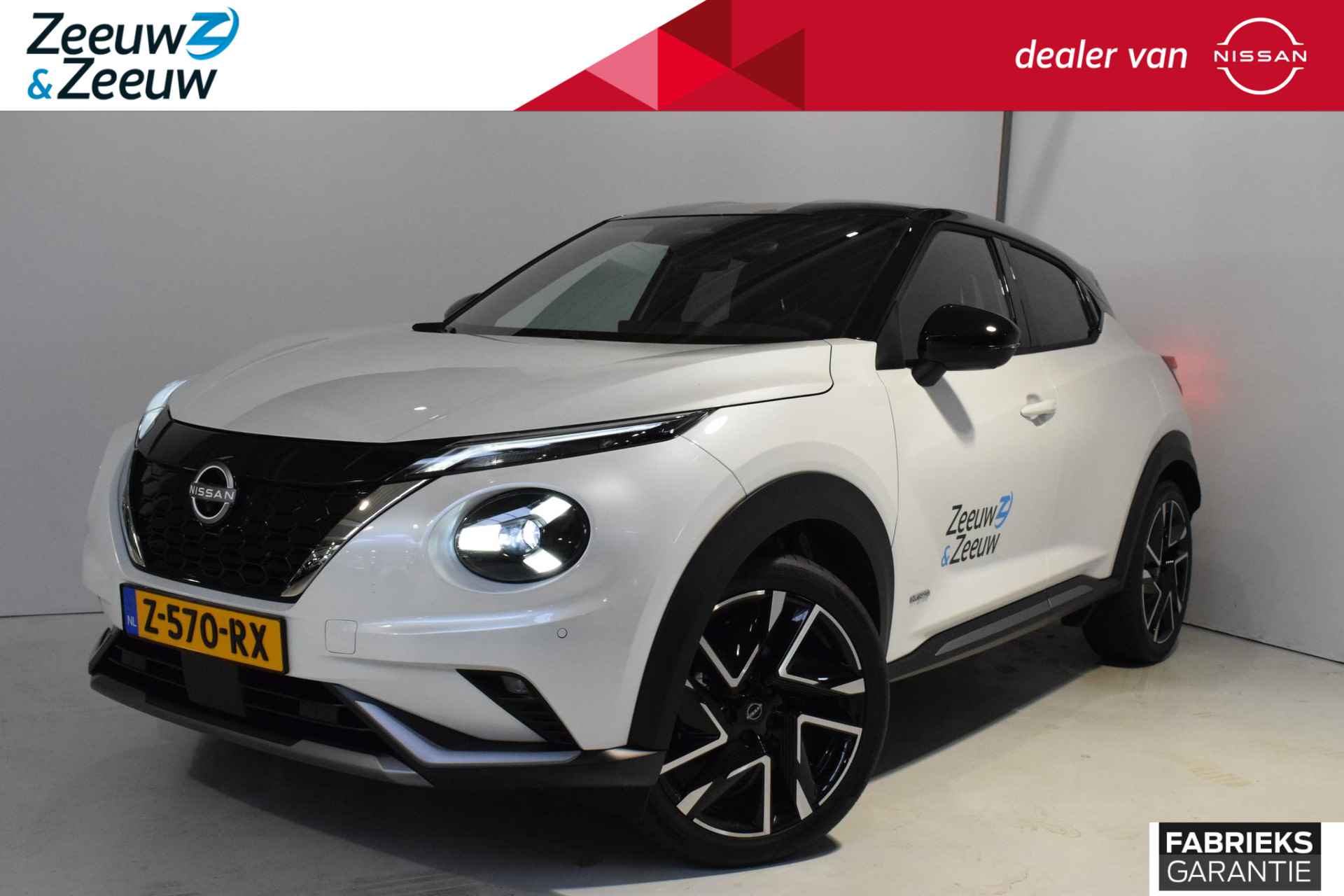 Nissan Juke BOVAG 40-Puntencheck