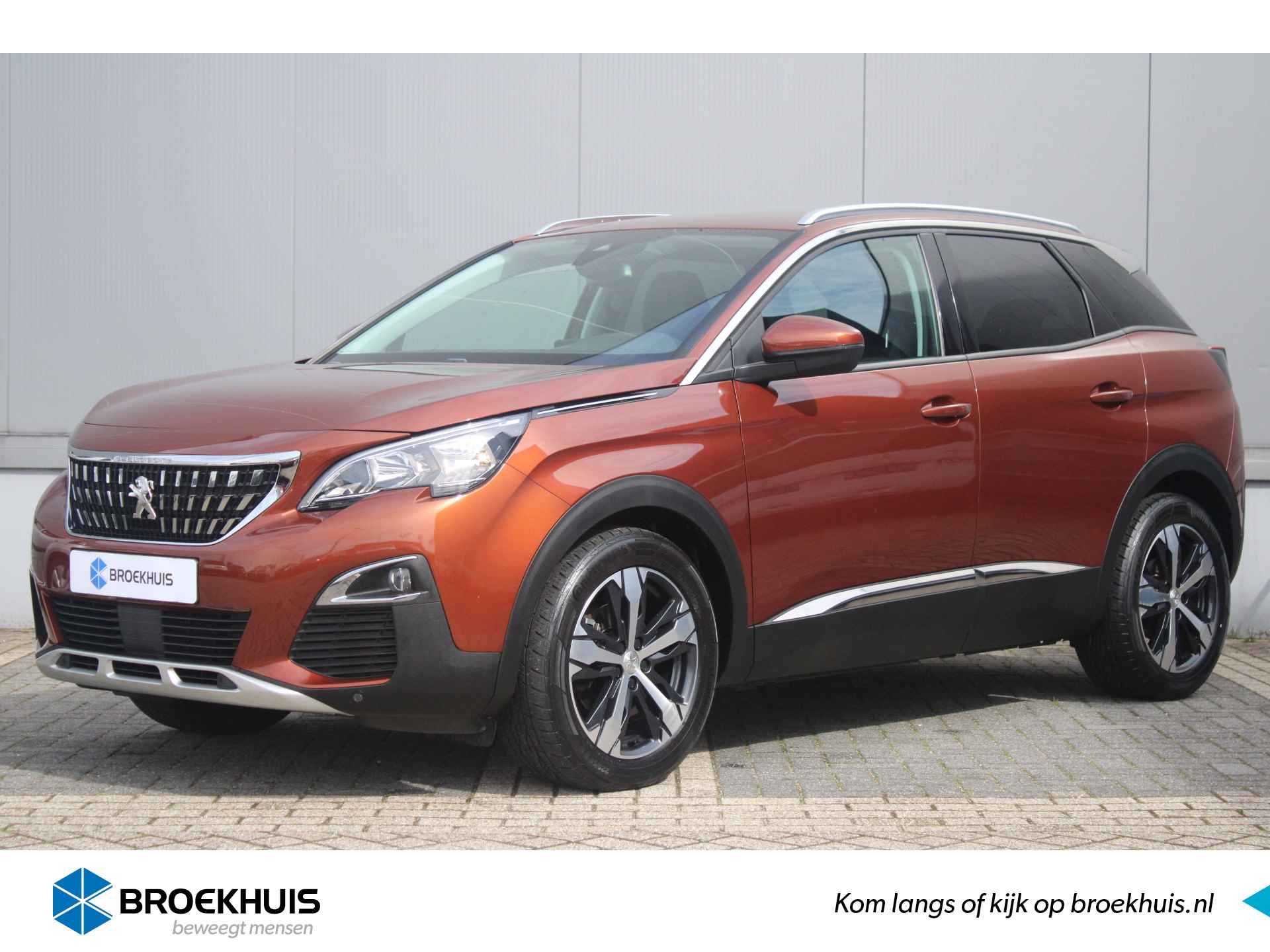 Peugeot 3008 BOVAG 40-Puntencheck