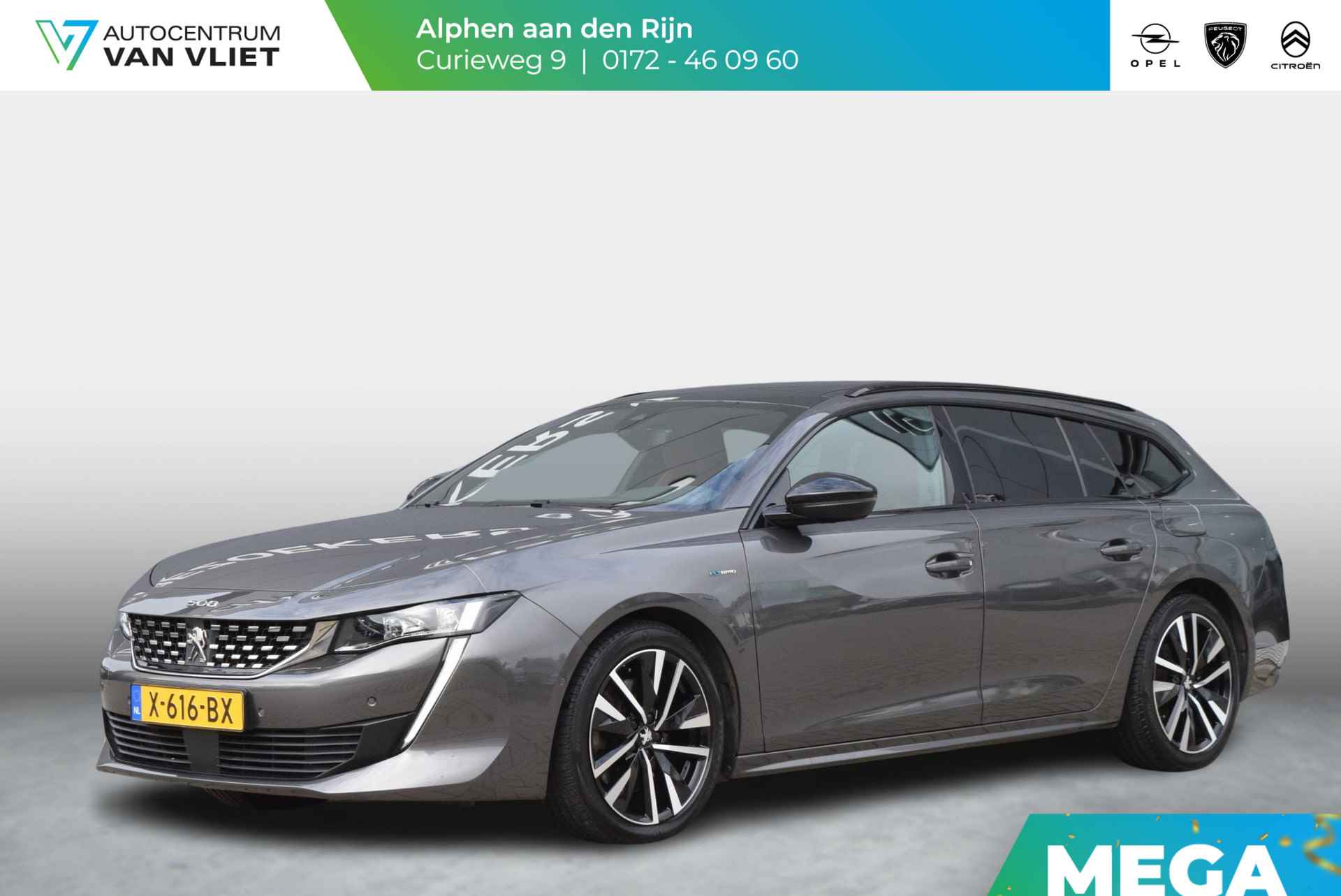 Peugeot 508 BOVAG 40-Puntencheck