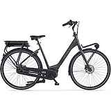 CORTINA E-Common Family Black Gold Matt 57cm 2022