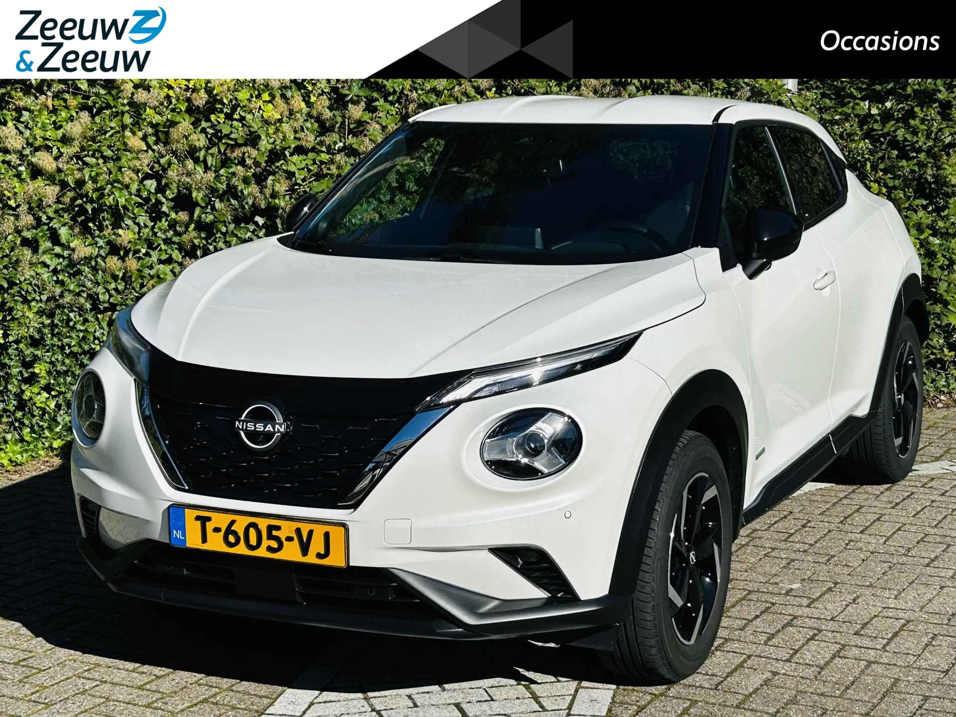 Nissan Juke BOVAG 40-Puntencheck