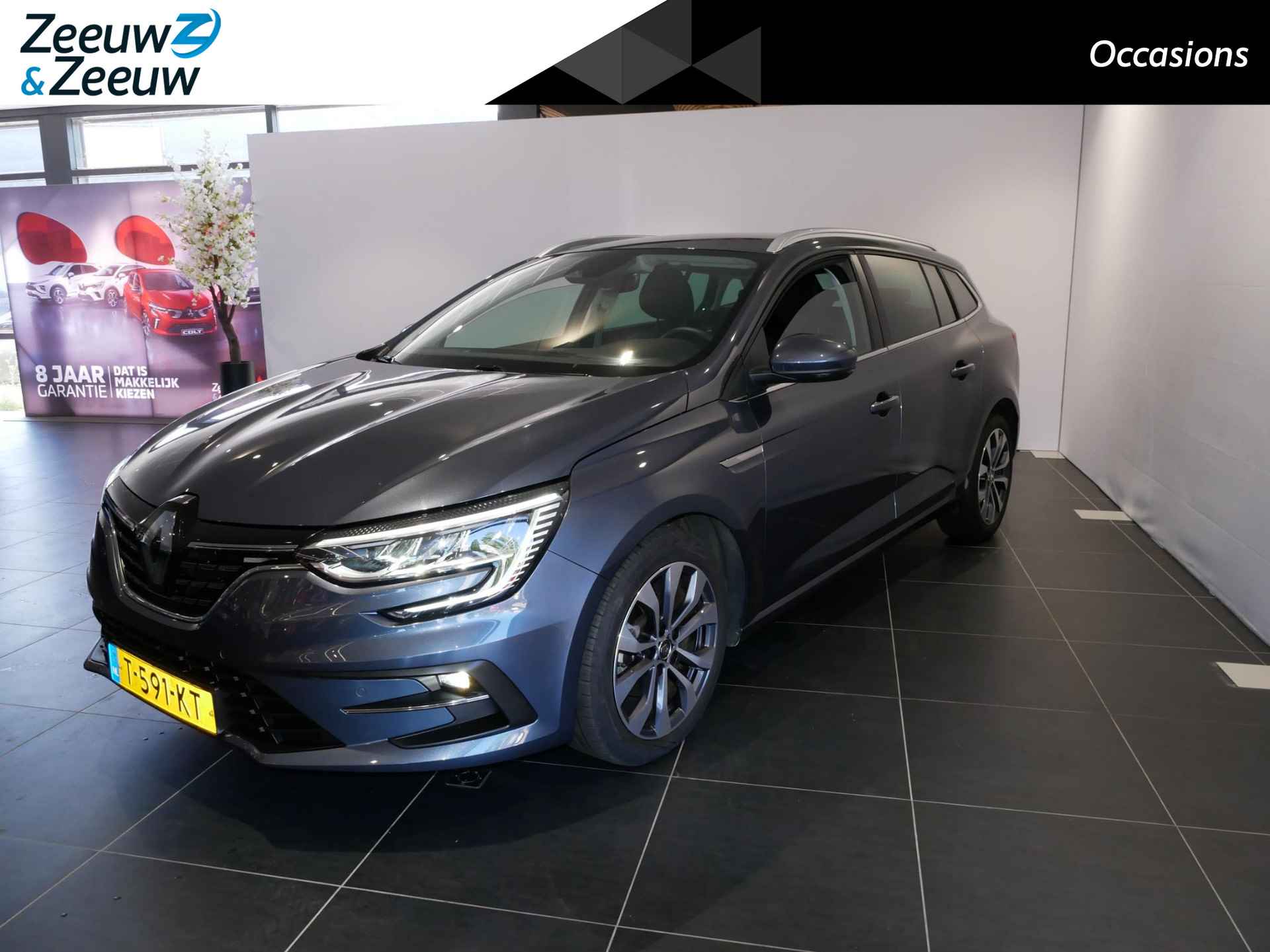 Renault Megane BOVAG 40-Puntencheck