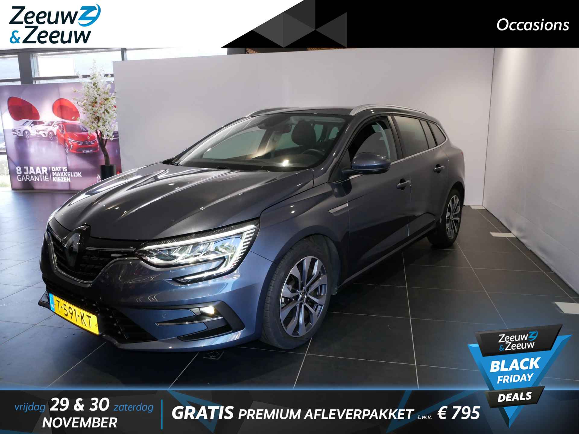 Renault Megane BOVAG 40-Puntencheck